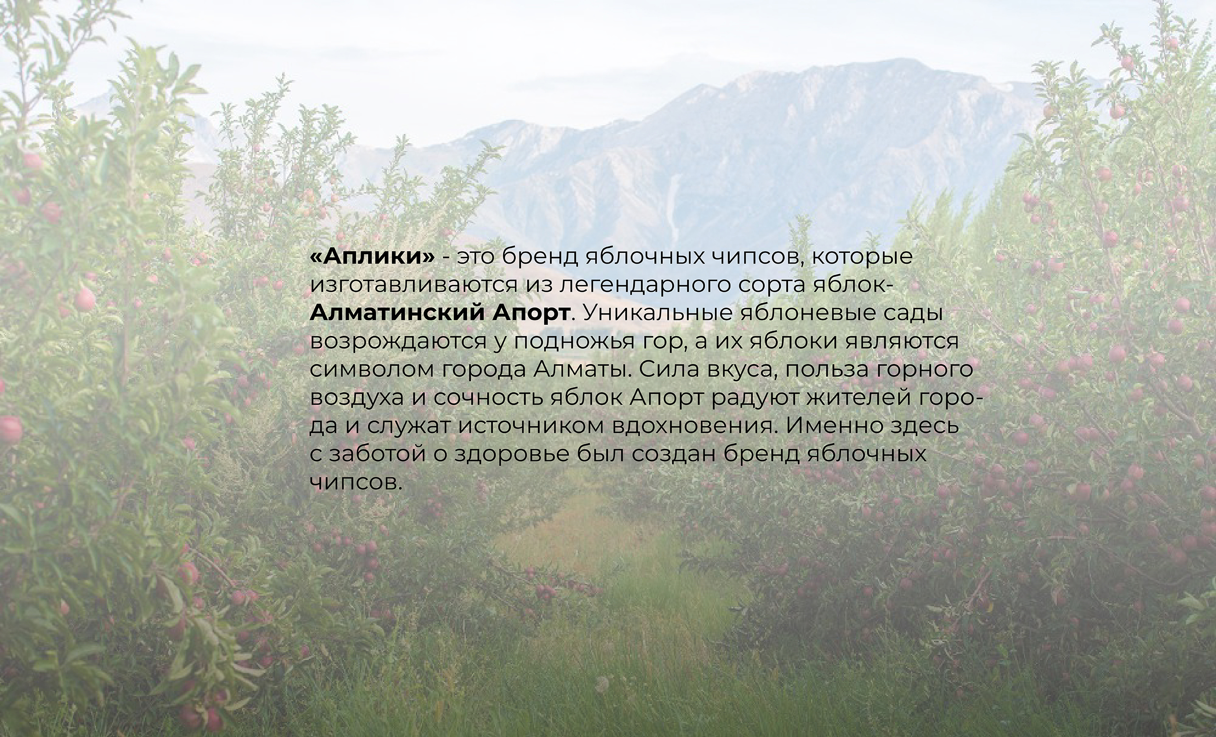 Айдентика для бренда яблочных чипсов «Аплики» — Изображение №1 — Брендинг на Dprofile