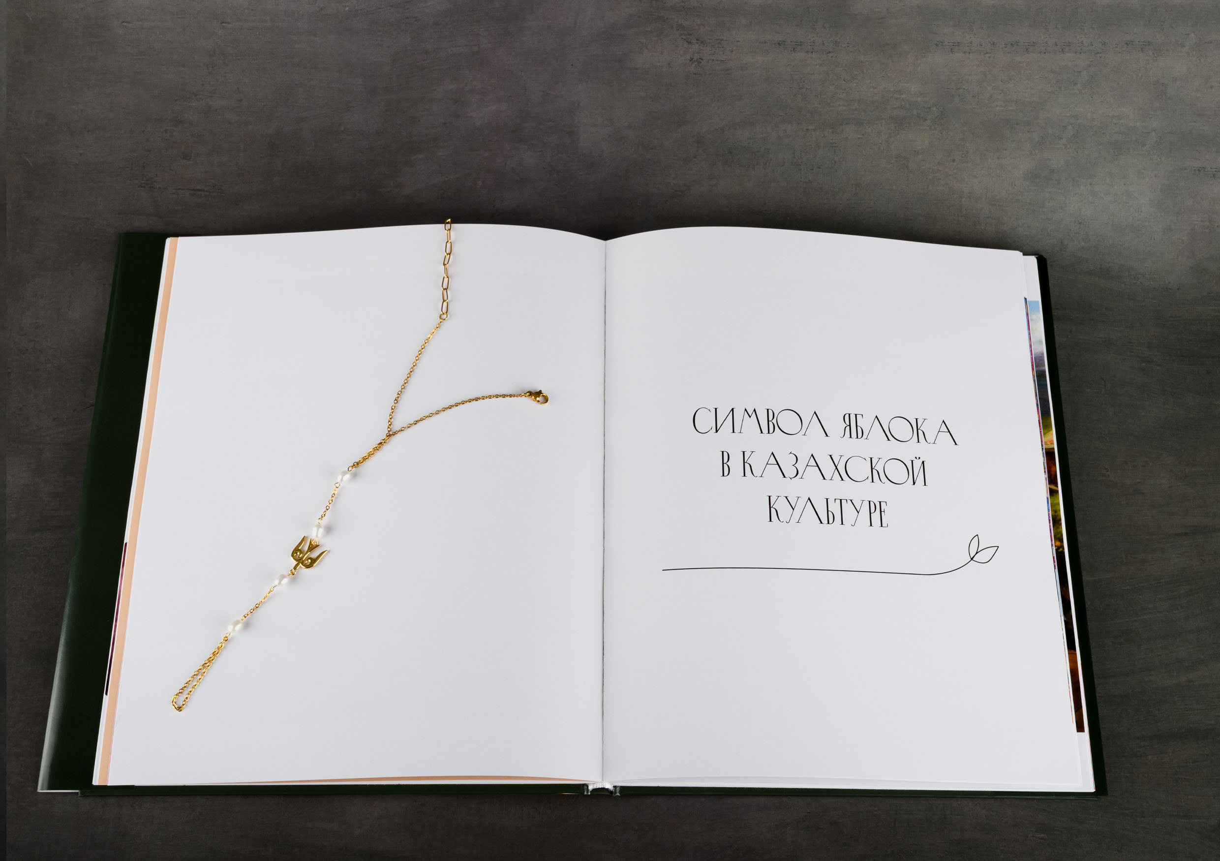 Книга. Символ яблока в культуре и жизни города Алматы — Изображение №11 — Графика на Dprofile