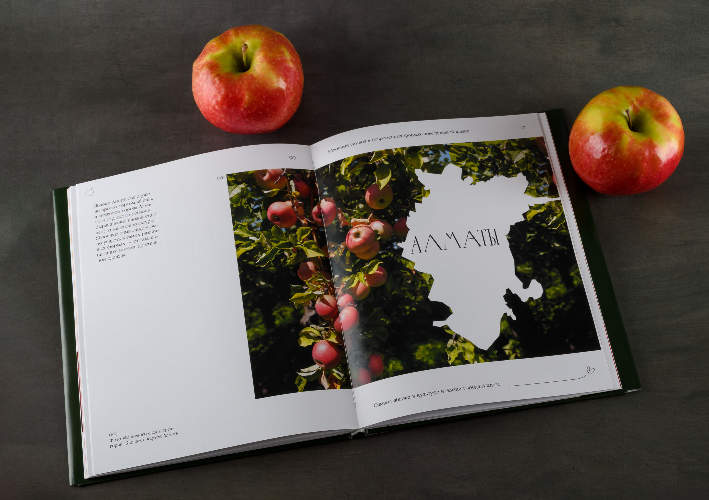 Книга. Символ яблока в культуре и жизни города Алматы — Изображение №6 — Графика на Dprofile