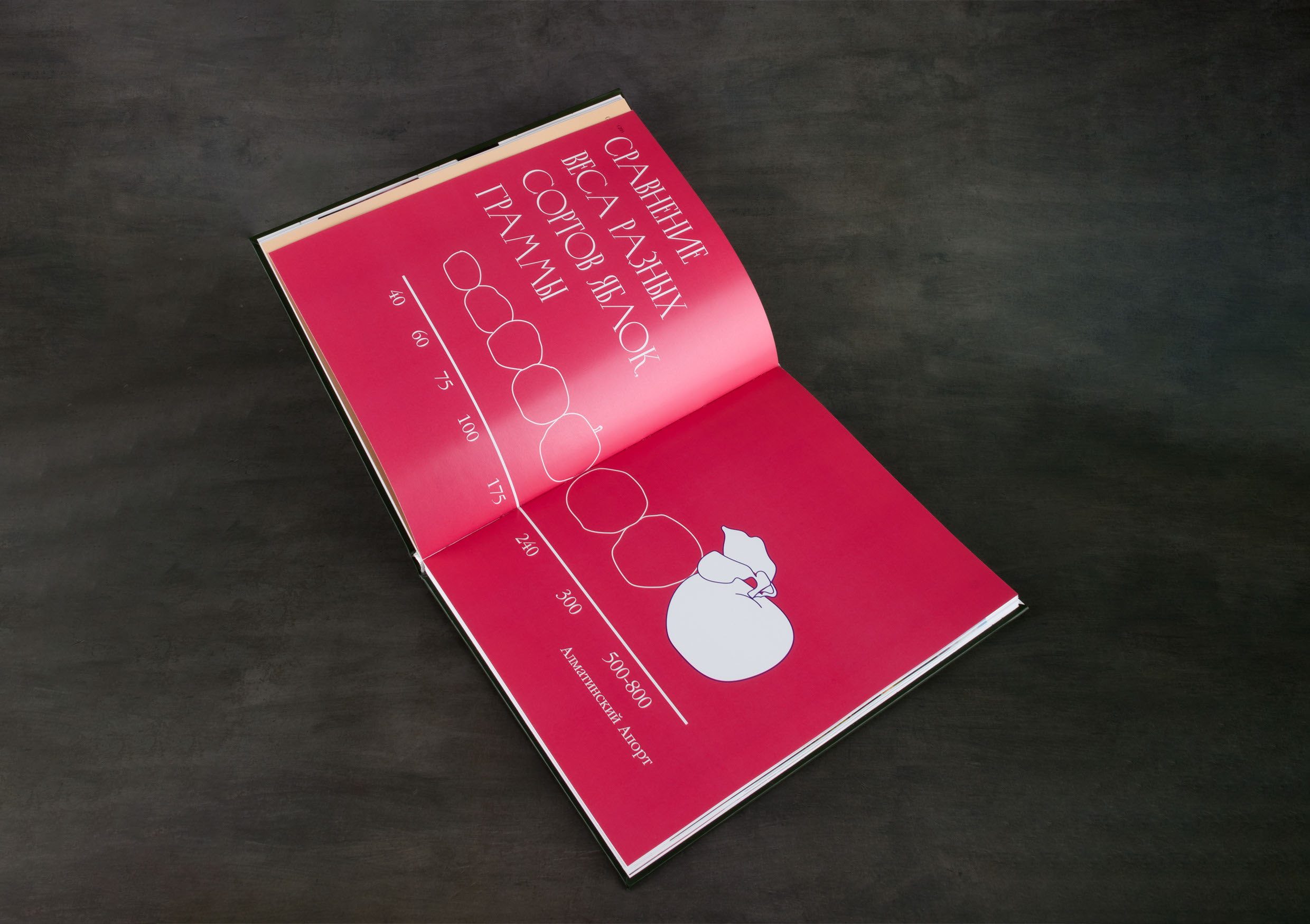 Книга. Символ яблока в культуре и жизни города Алматы — Изображение №7 — Графика на Dprofile