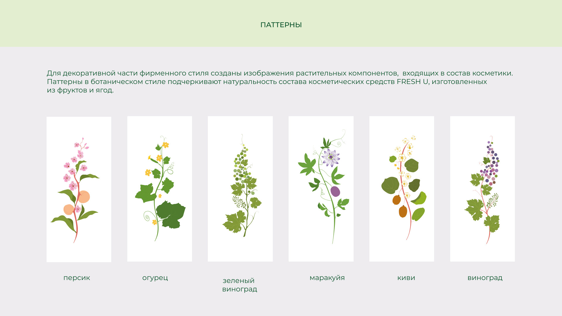 Логотип и фирменный стиль уходовой косметики Fresh U — Изображение №8 — Брендинг на Dprofile