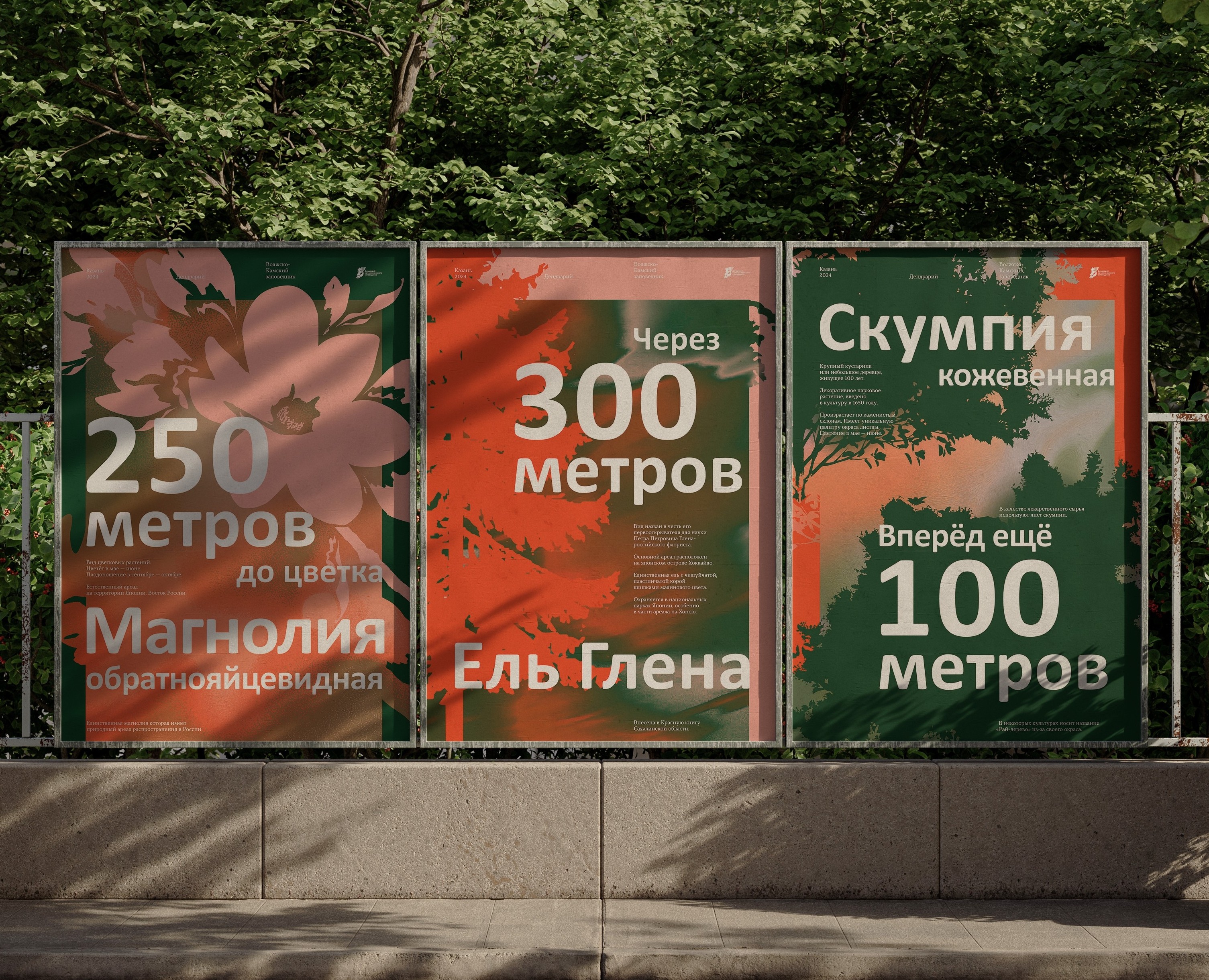 Навигационные плакаты дендрария Волжско-Камского заповедника — Иллюстрация, Графика на Dprofile
