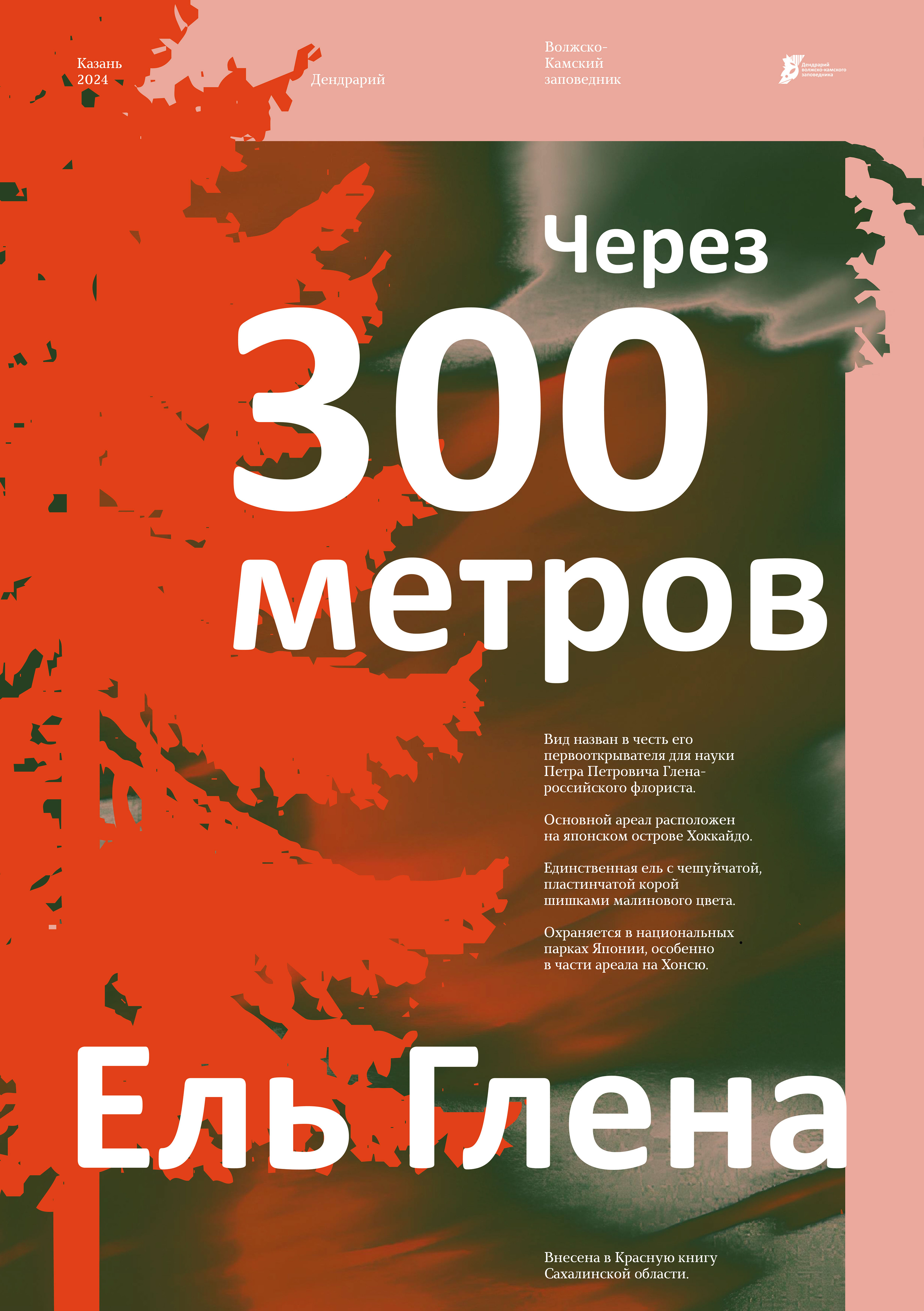 Навигационные плакаты дендрария Волжско-Камского заповедника — Изображение №3 — Иллюстрация, Графика на Dprofile