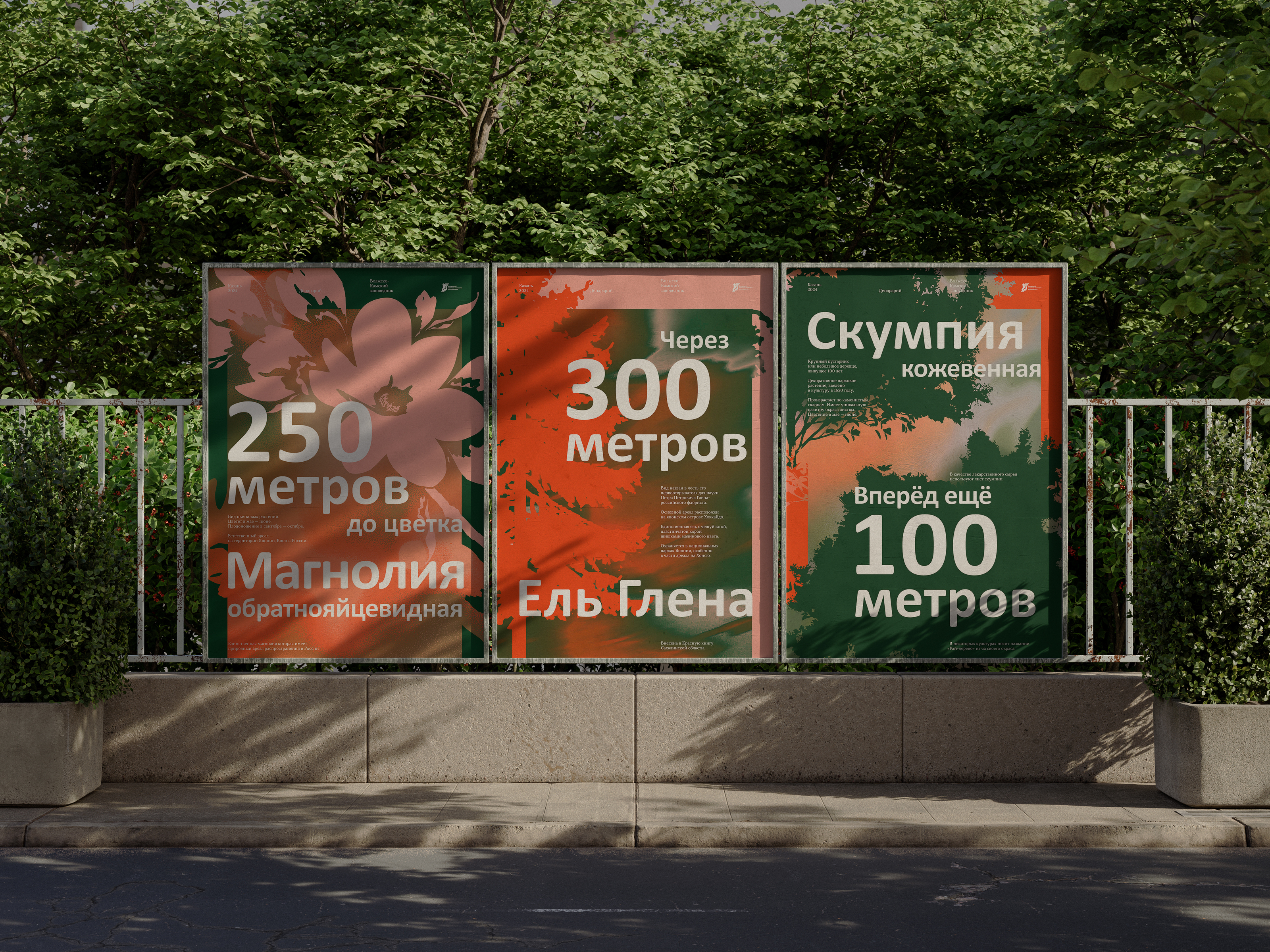 Навигационные плакаты дендрария Волжско-Камского заповедника — Изображение №1 — Иллюстрация, Графика на Dprofile