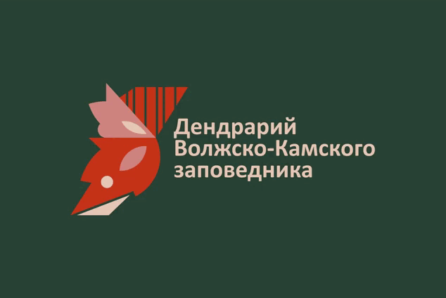 Дендрарий Волжско-Камского заповедника — Изображение №1 — Брендинг, Графика на Dprofile