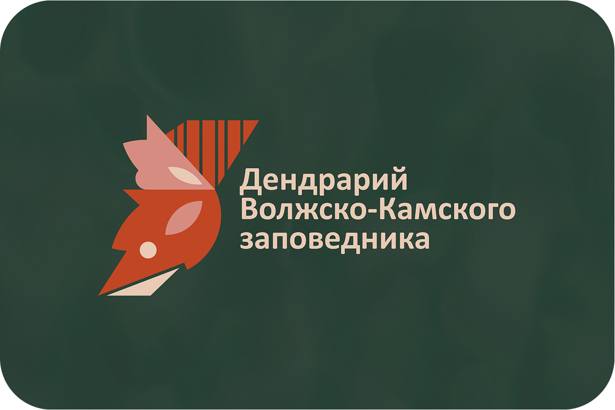 Дендрарий Волжско-Камского заповедника — Изображение №2 — Брендинг, Графика на Dprofile