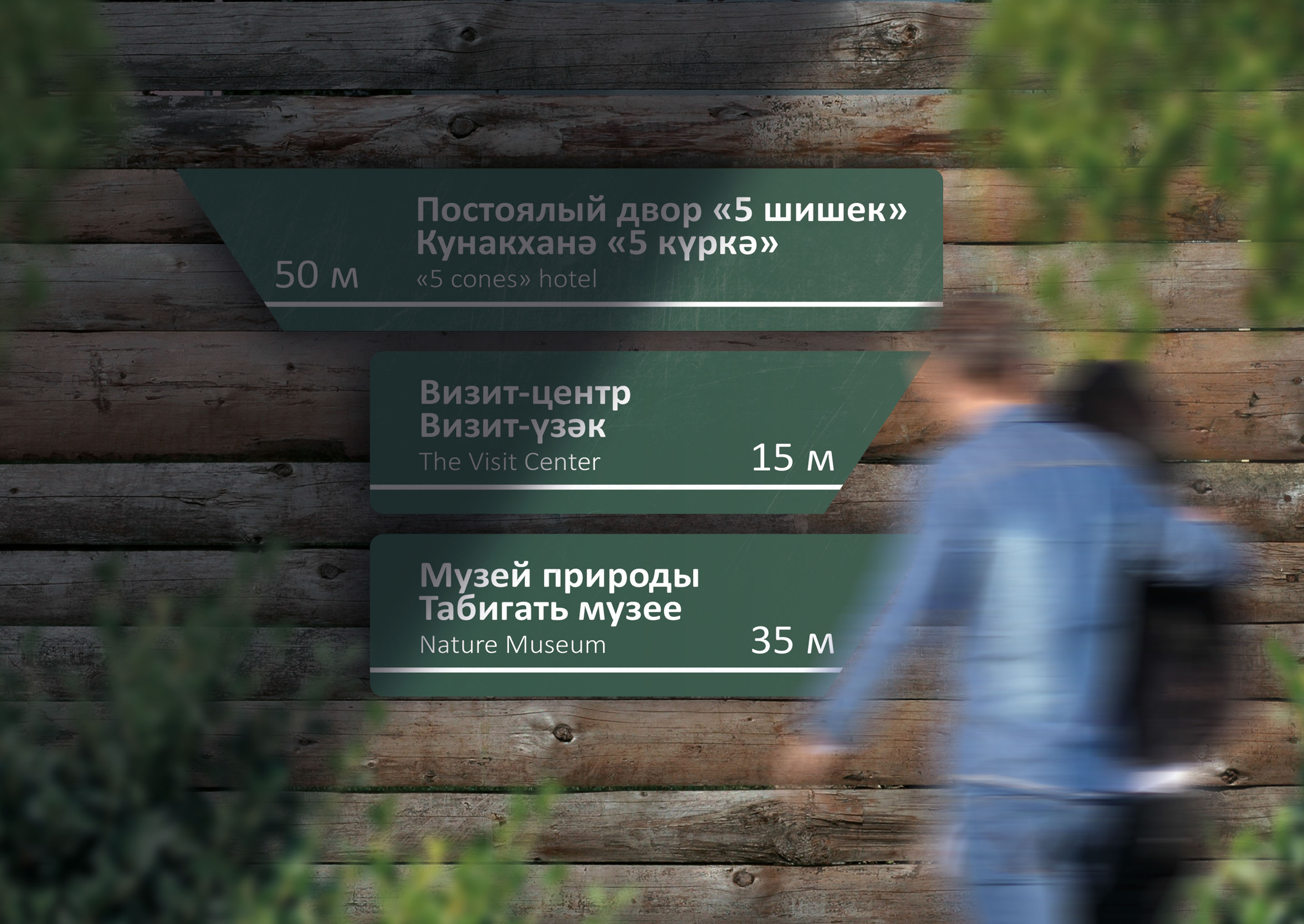 Навигация Дендрария Волжско-Камского заповедника — Изображение №7 — Графика на Dprofile
