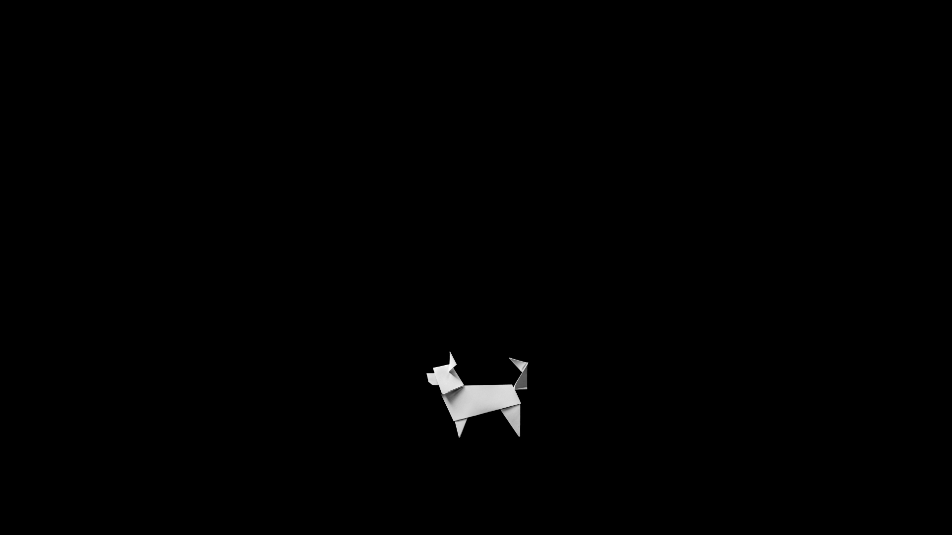 Paper Dog. Центр дрессировки собак — Изображение №1 — Брендинг на Dprofile