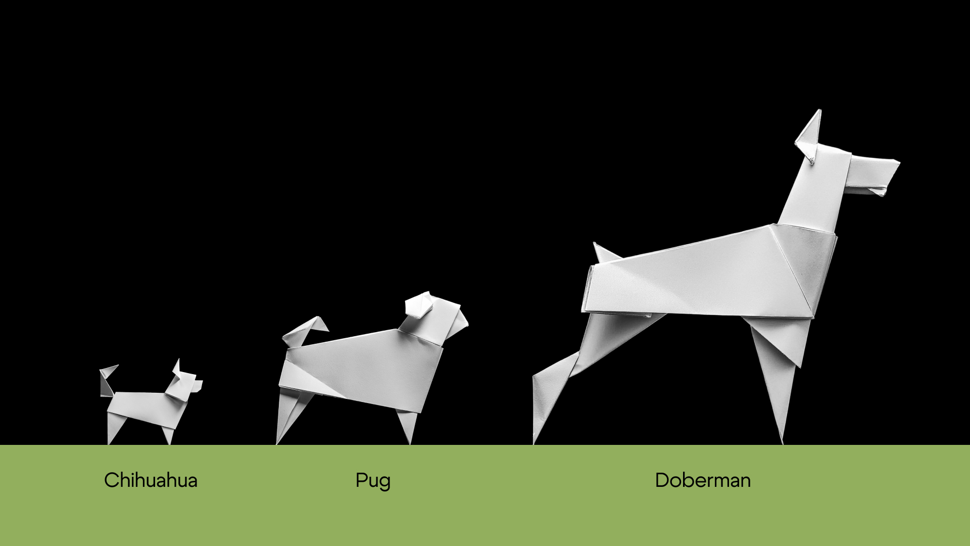 Paper Dog. Центр дрессировки собак — Изображение №2 — Брендинг на Dprofile