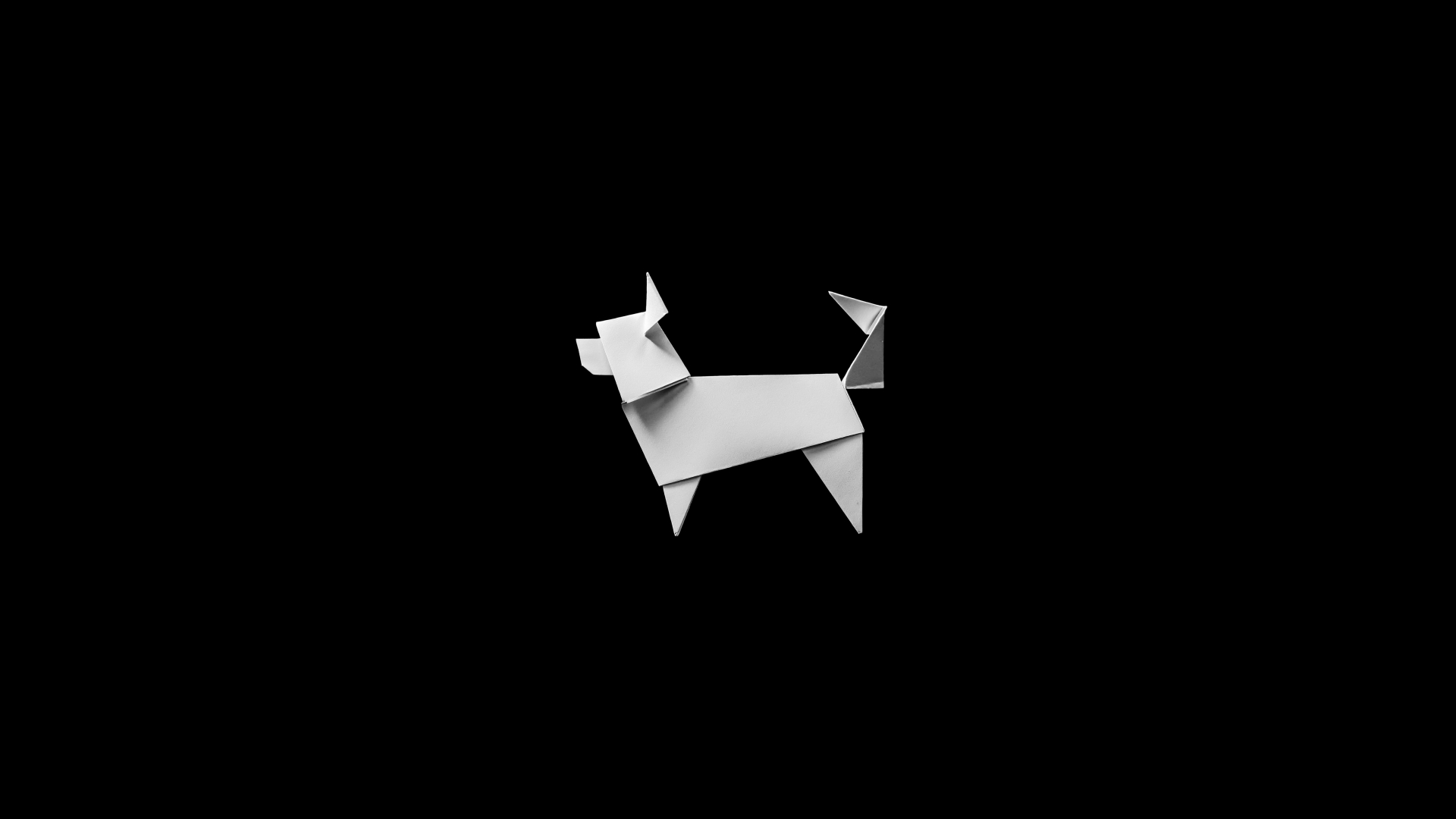 Paper Dog. Центр дрессировки собак — Изображение №13 — Брендинг на Dprofile