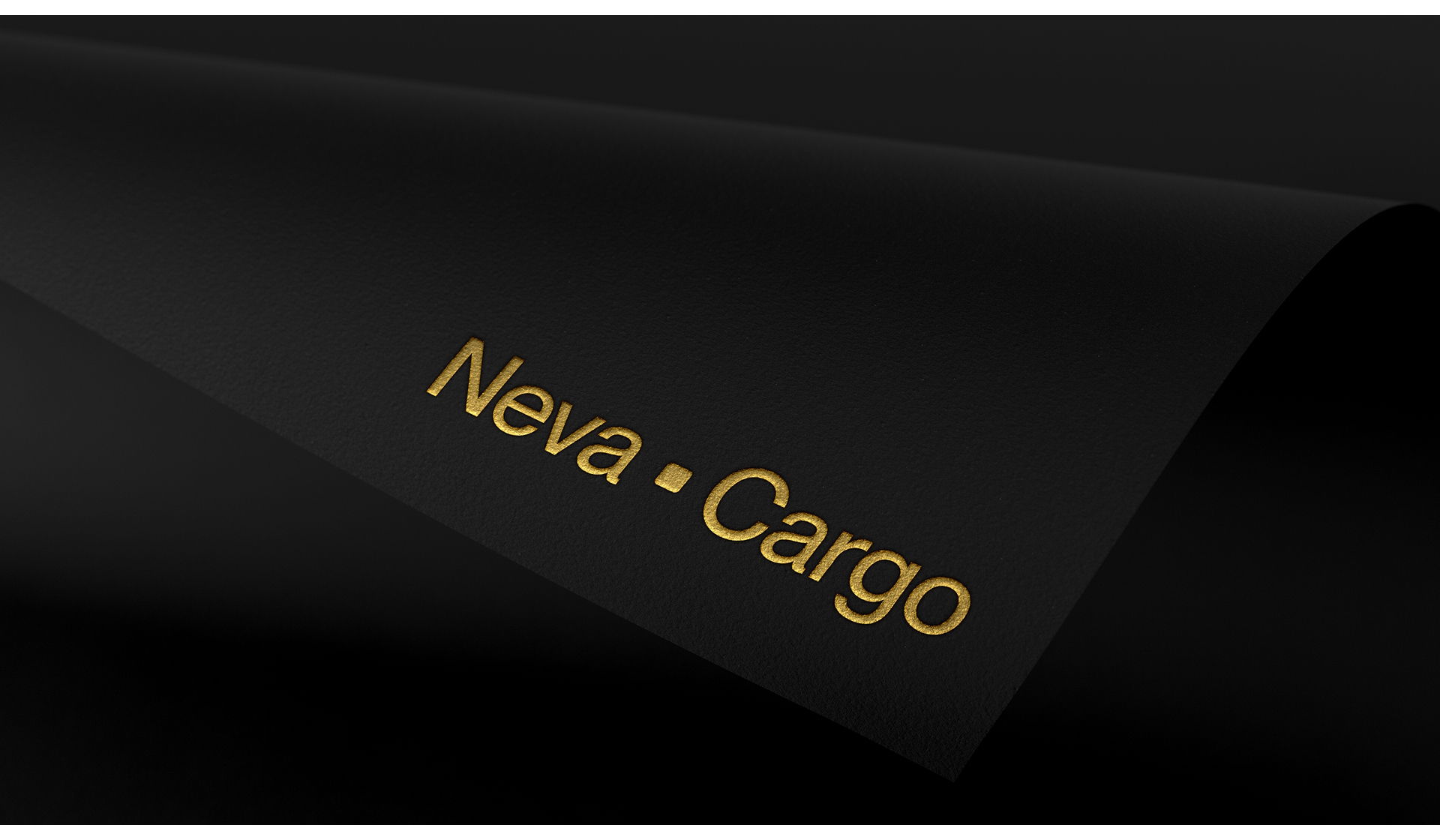 Neva Cargo - design concept — Изображение №2 — Интерфейсы, Брендинг на Dprofile