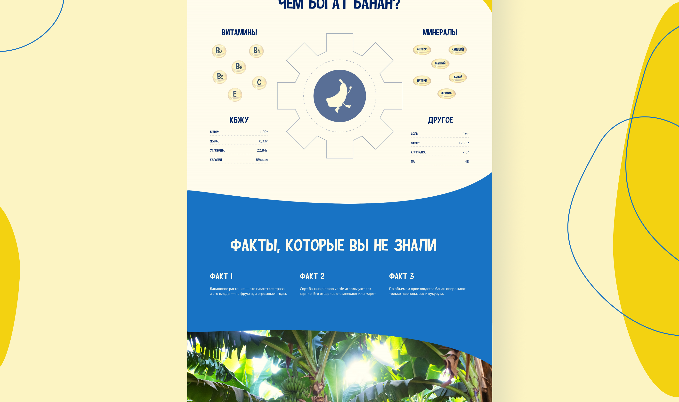 Cайт для банана — Изображение №5 — Маркетинг, Интерфейсы на Dprofile