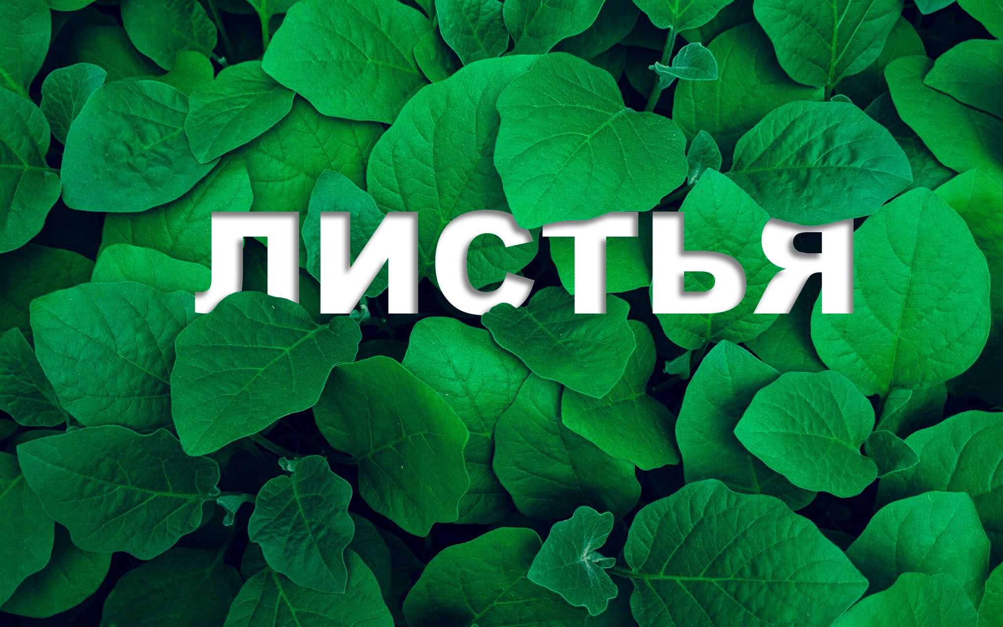 Дизайн обложки для книги — Изображение №6 — Иллюстрация, Графика на Dprofile