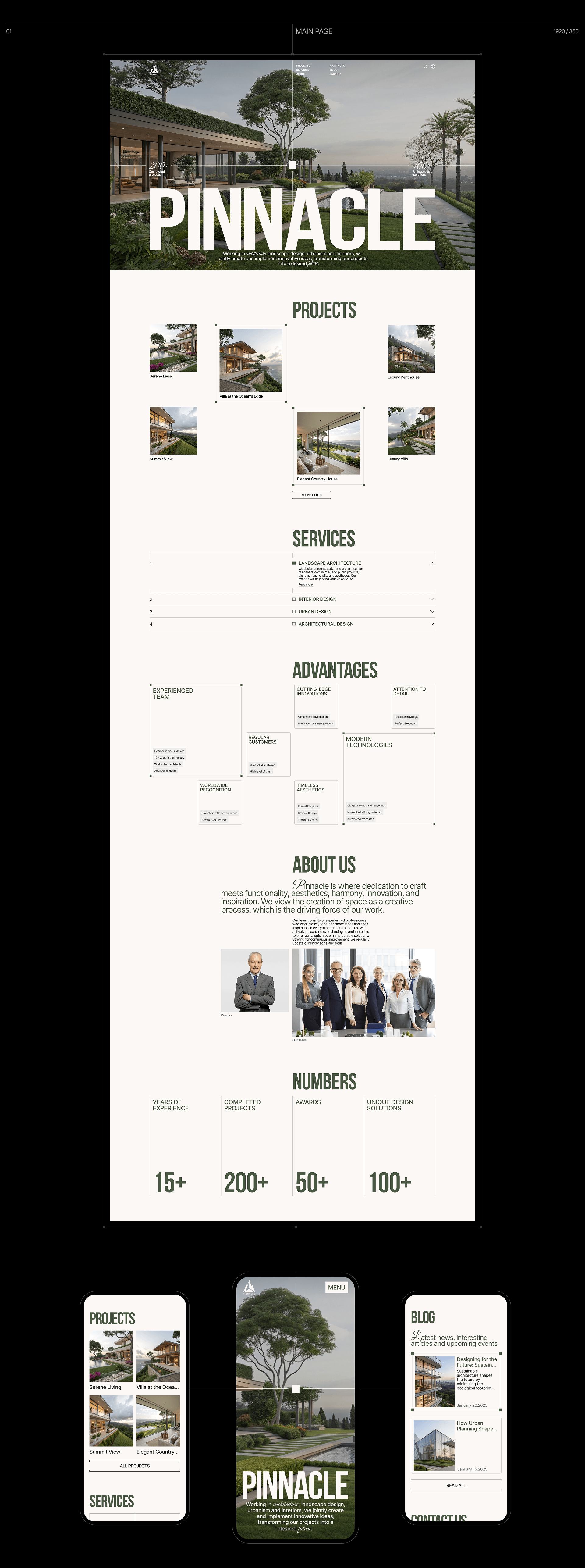 PINNACLE | CORPORATE WEBSITE — Изображение №3 — Интерфейсы, Брендинг на Dprofile