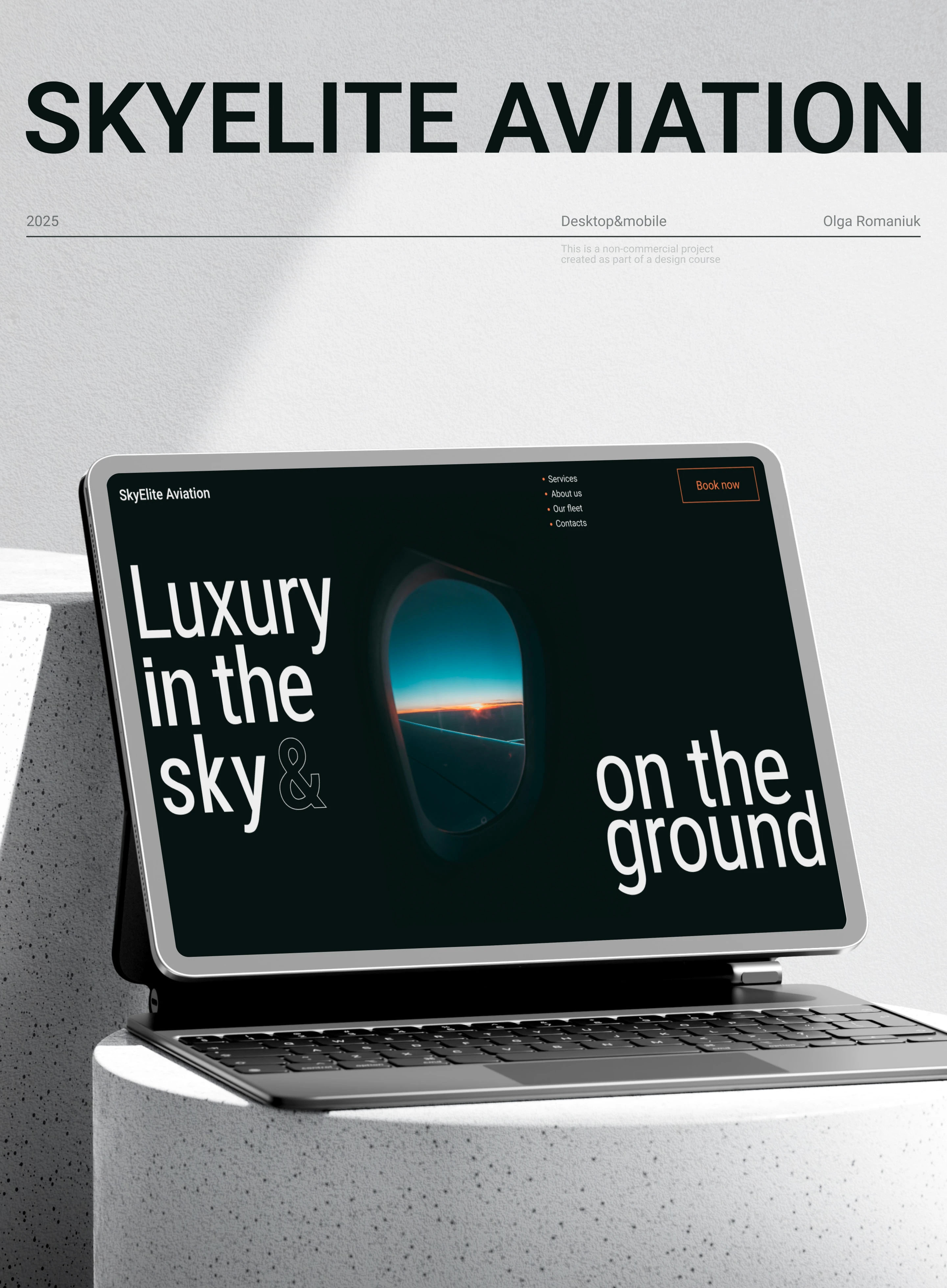 SkyElite Aviation - Дизайн сайта — Изображение №1 — Интерфейсы, Анимация на Dprofile