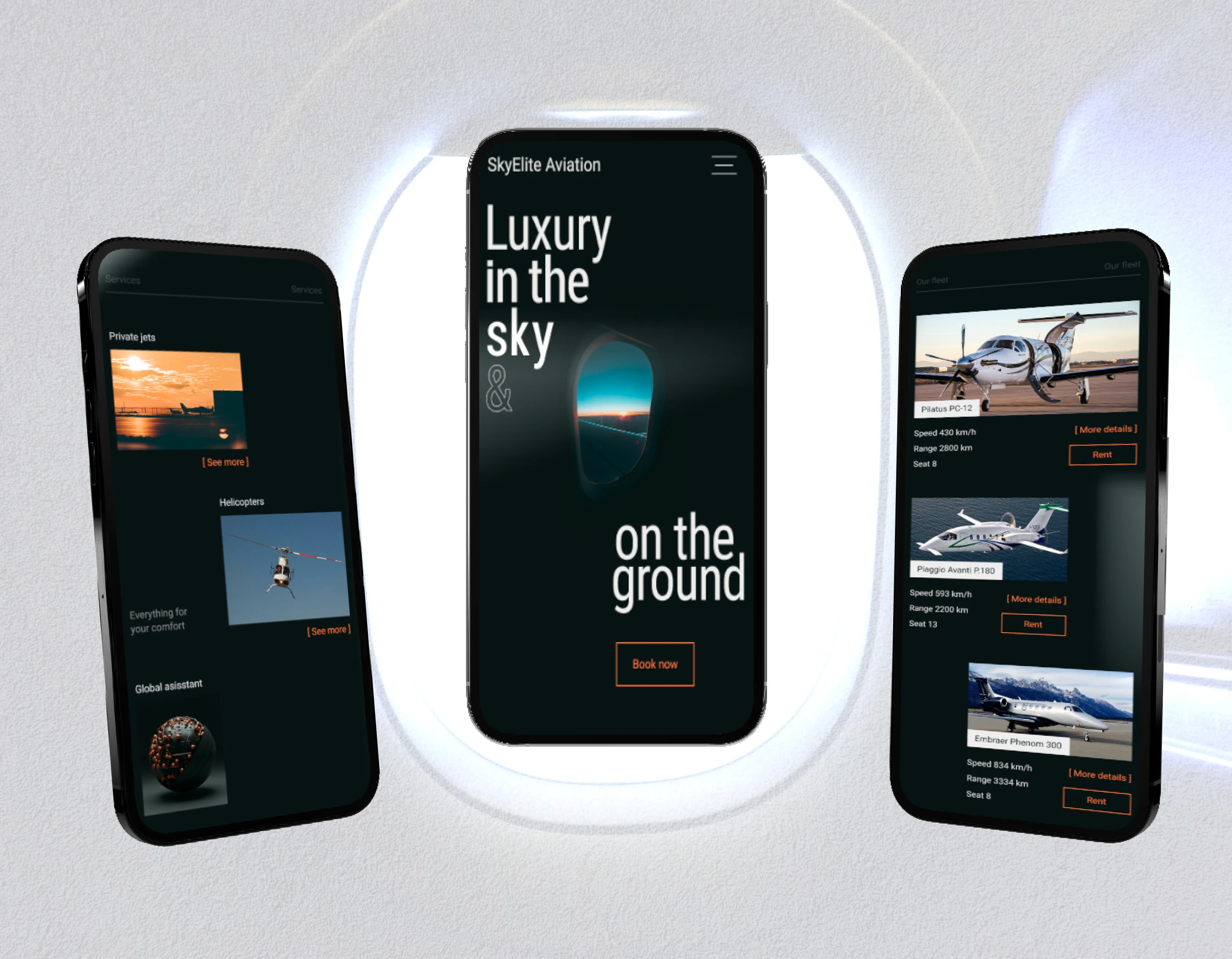 SkyElite Aviation - Дизайн сайта — Изображение №9 — Интерфейсы, Анимация на Dprofile