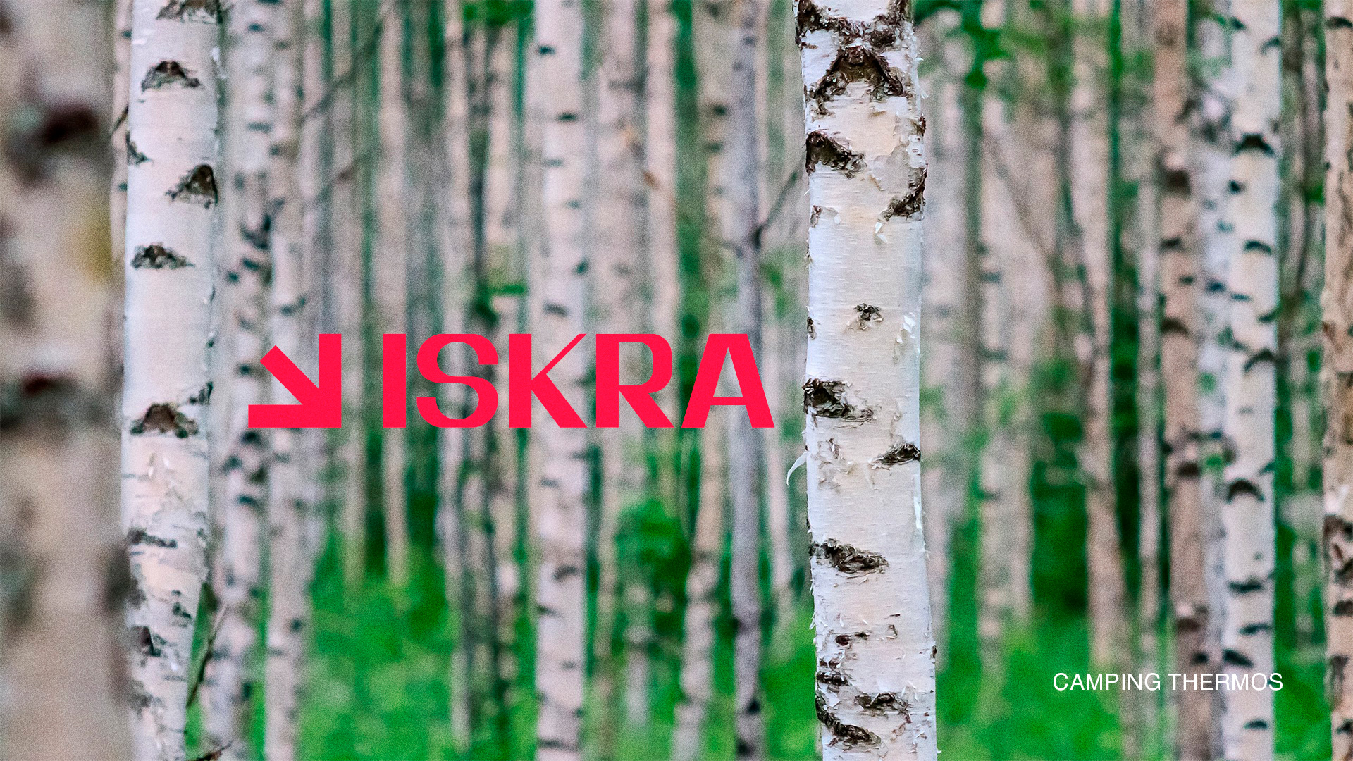 ISKRA — Изображение №1 — Брендинг, Графика, 3D на Dprofile