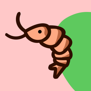 Аватар пользователя Софа Барановская