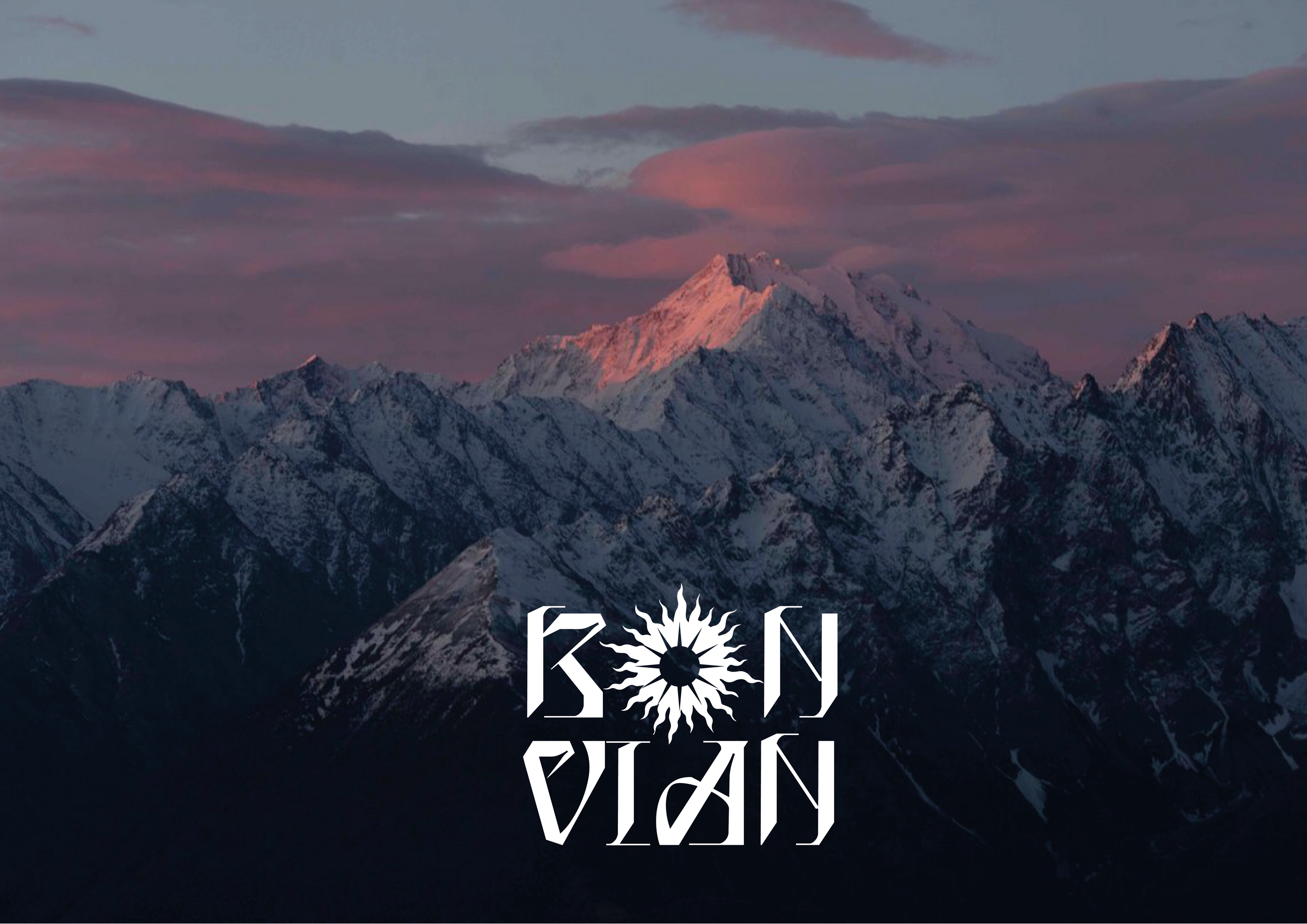 BONVIAN LOGO | LOGOBOOK — Изображение №1 — Брендинг на Dprofile