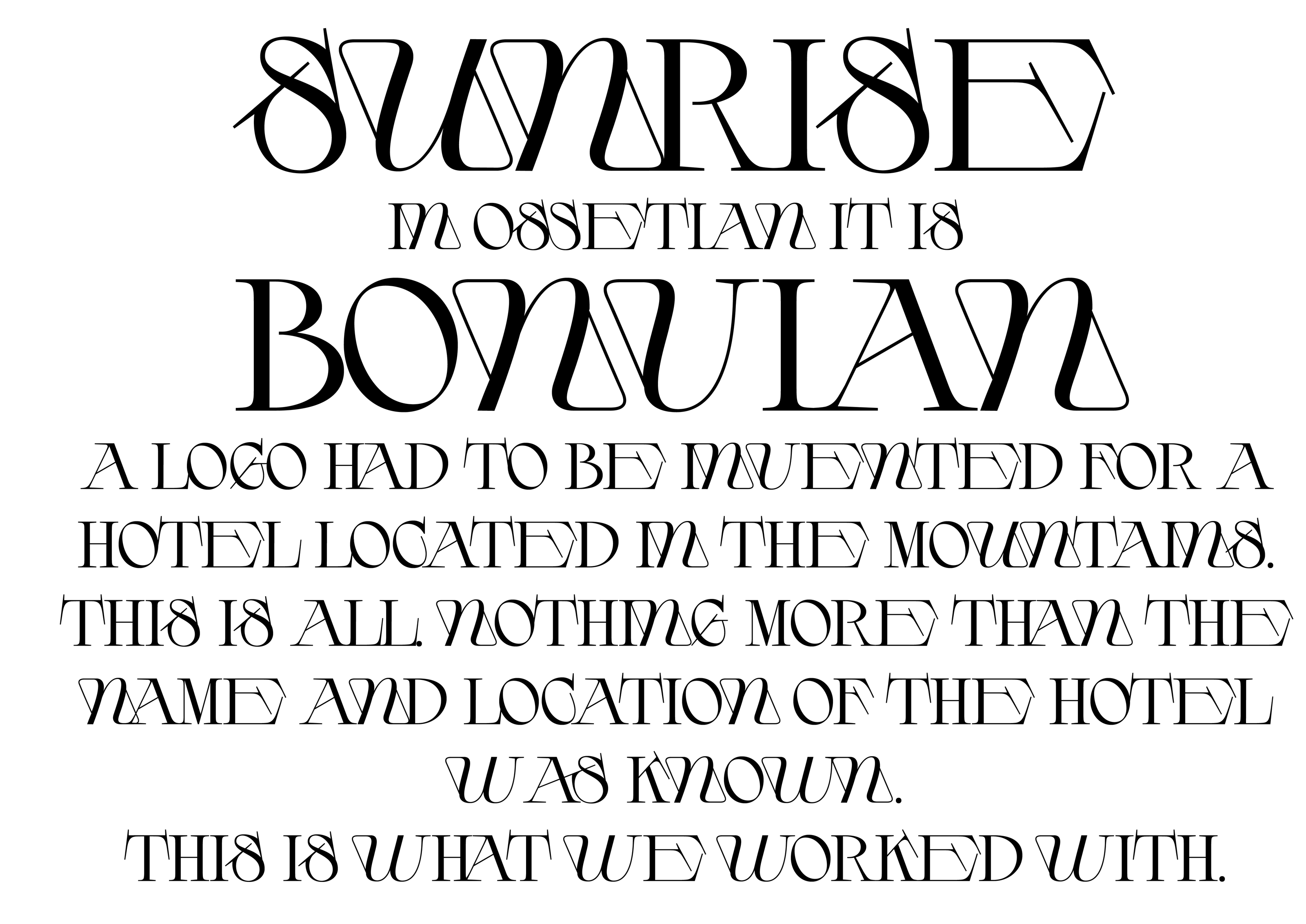BONVIAN LOGO | LOGOBOOK — Изображение №2 — Брендинг на Dprofile