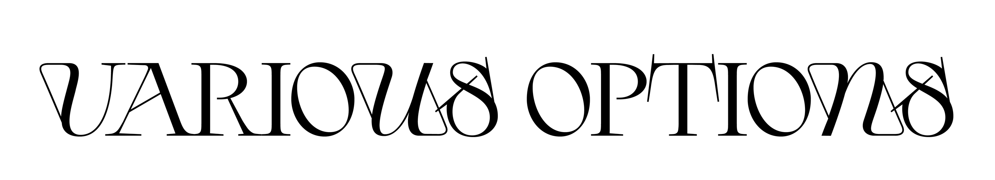 BONVIAN LOGO | LOGOBOOK — Изображение №4 — Брендинг на Dprofile