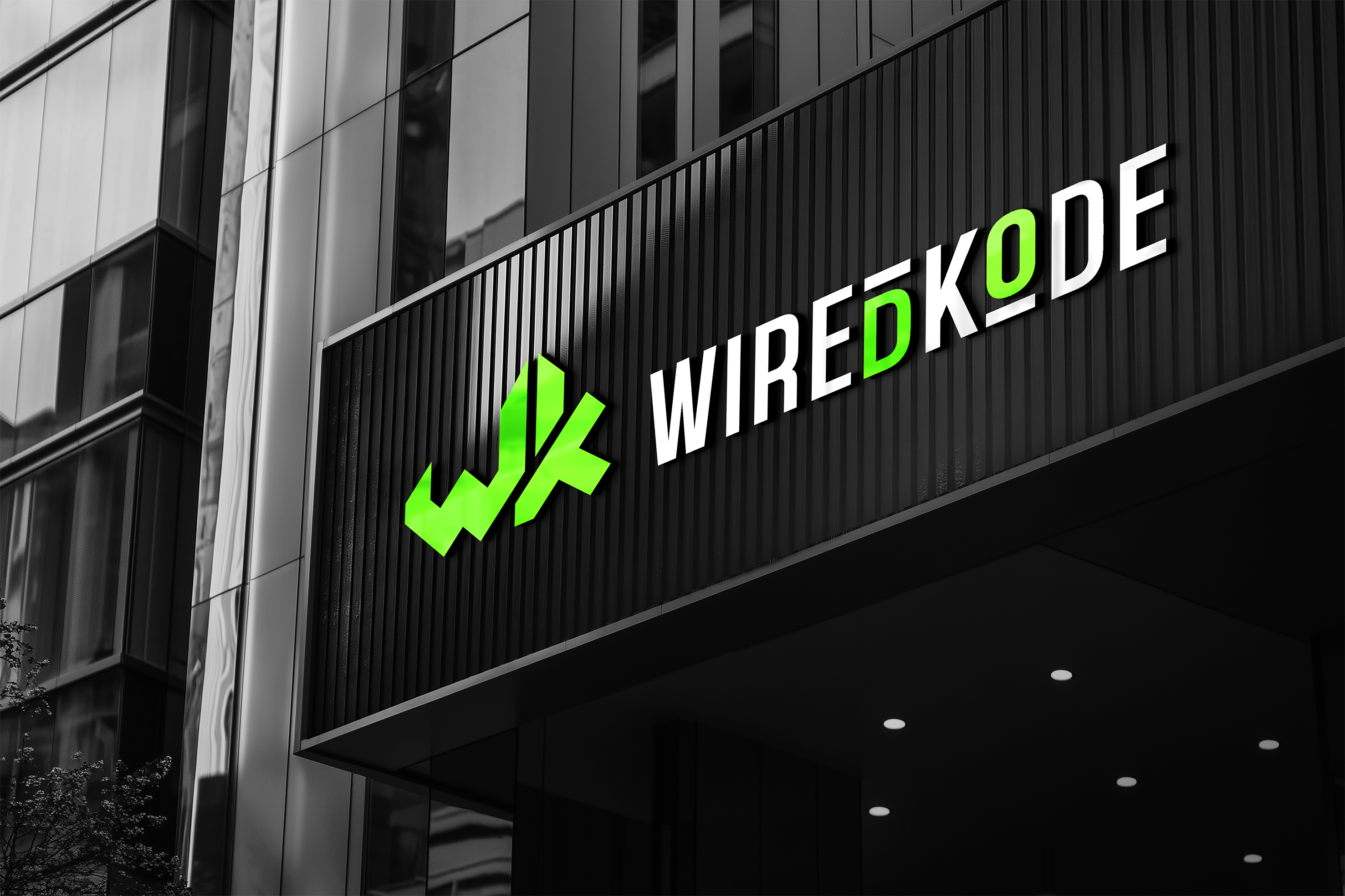 Логотип и фирменный стиль для компании WiredKode — Изображение №1 — Брендинг на Dprofile