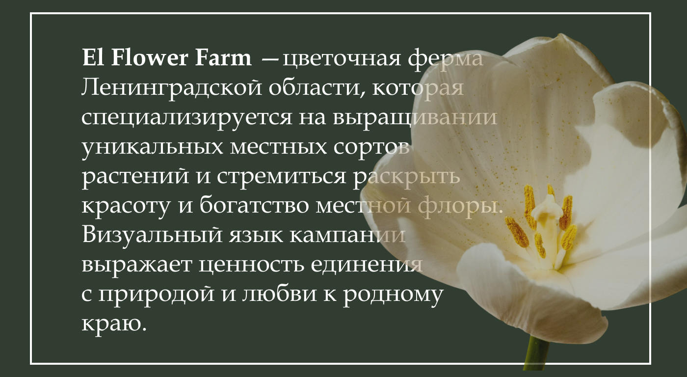 Рекламные баннеры для социальных сетей — Изображение №2 — Интерфейсы, Маркетинг на Dprofile