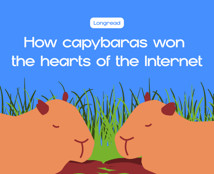 Longread about capybaras — Иллюстрация, Графика на Dprofile