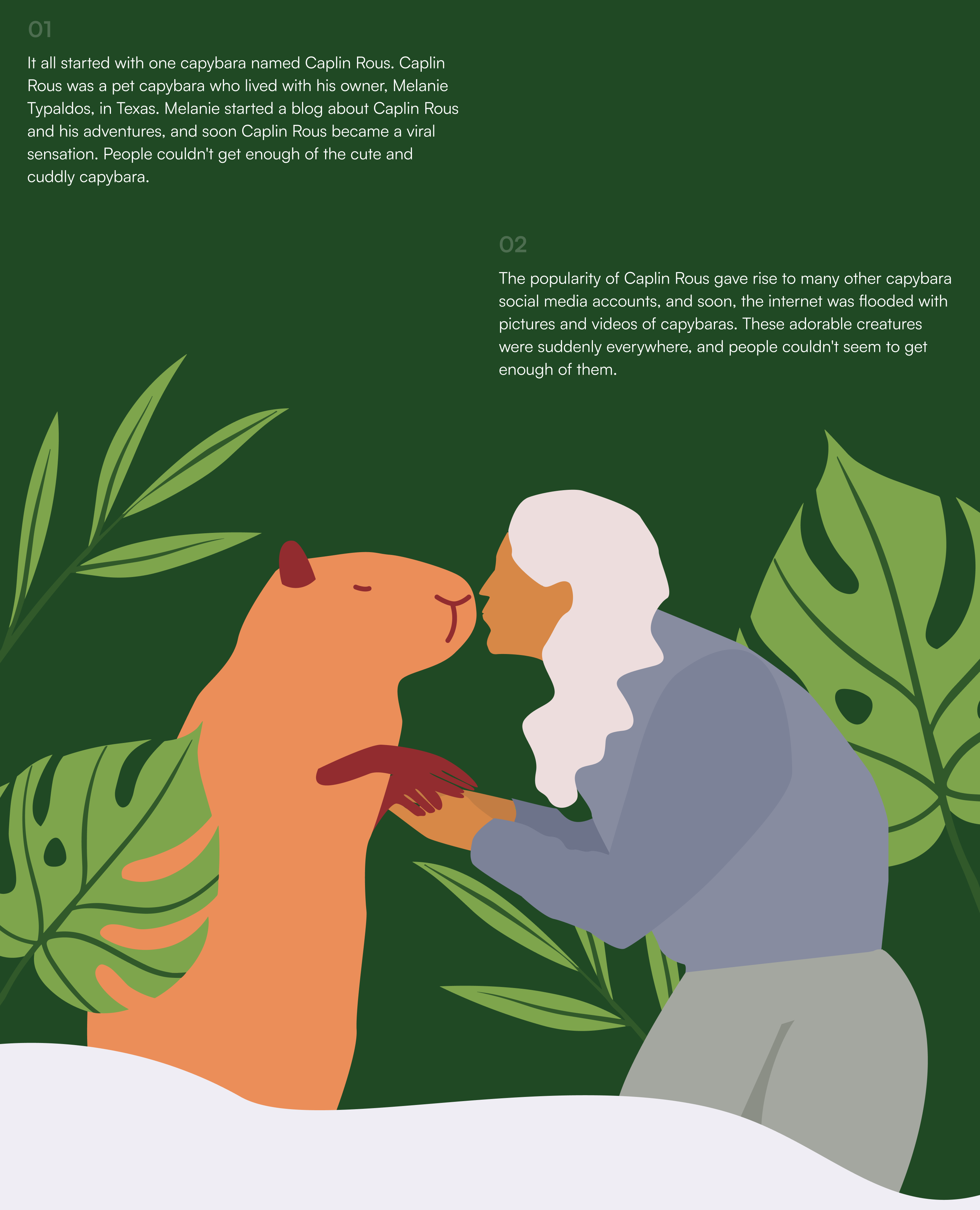 Longread about capybaras — Изображение №3 — Иллюстрация, Графика на Dprofile