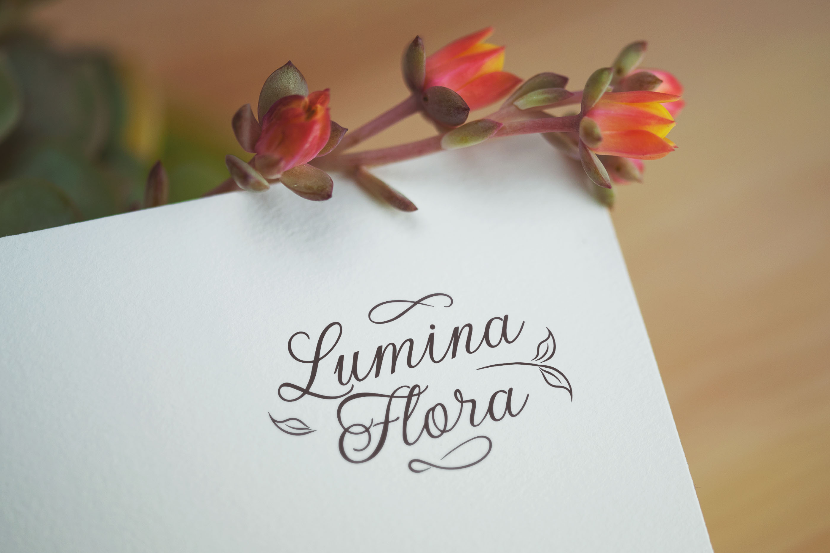 Lumina Flora - цветочные композиции. Леттеринг — Изображение №8 — Брендинг на Dprofile