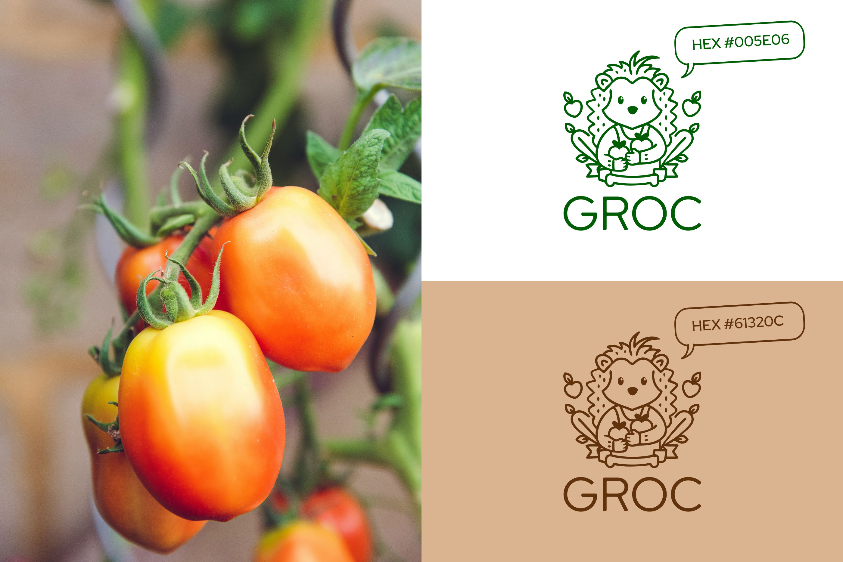 Агрохолдинг GROC. Геральдика — Изображение №2 — Брендинг на Dprofile