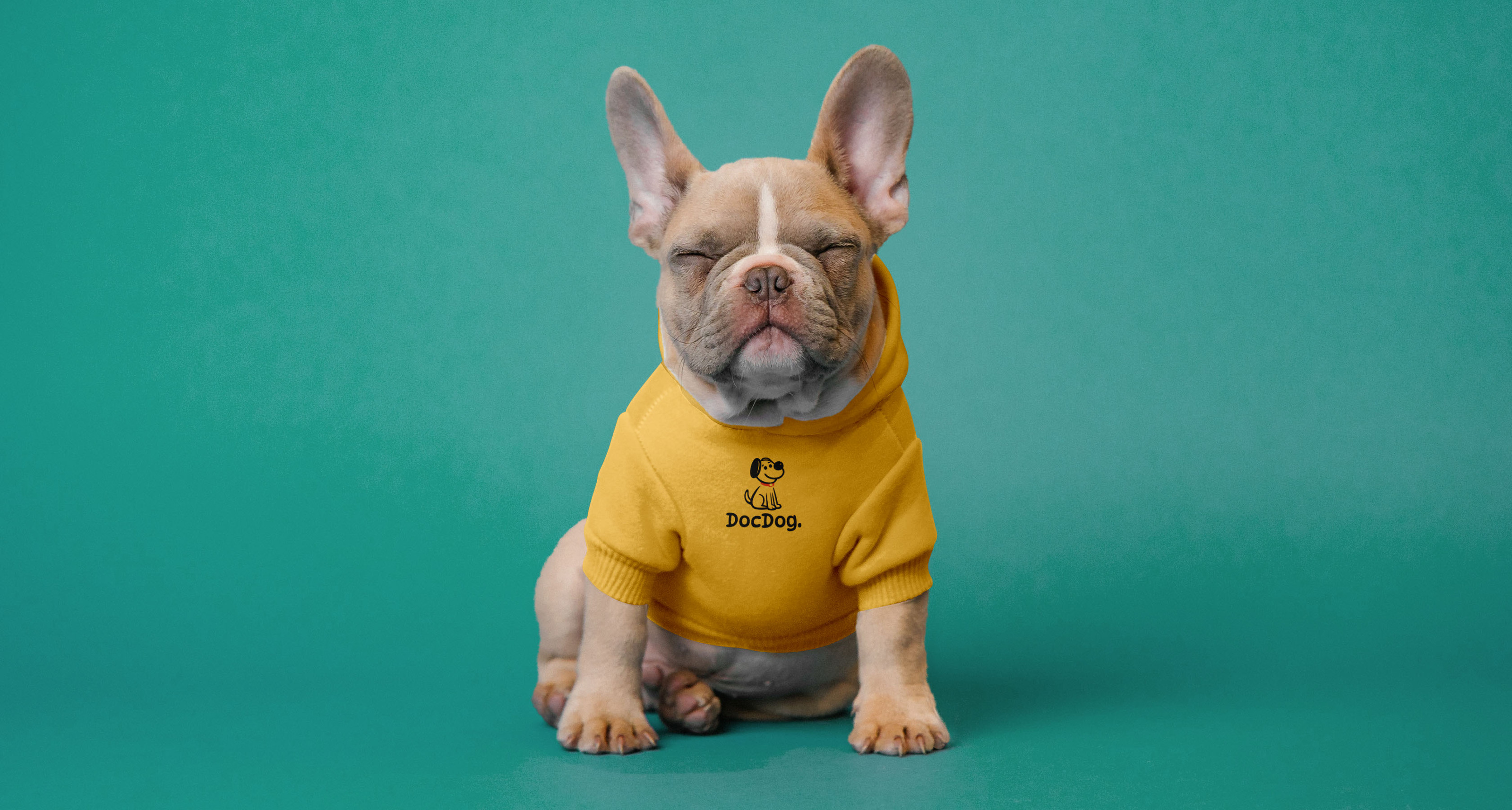 Docdog. – ветеринарная клиника для собак — Изображение №1 — Брендинг на Dprofile