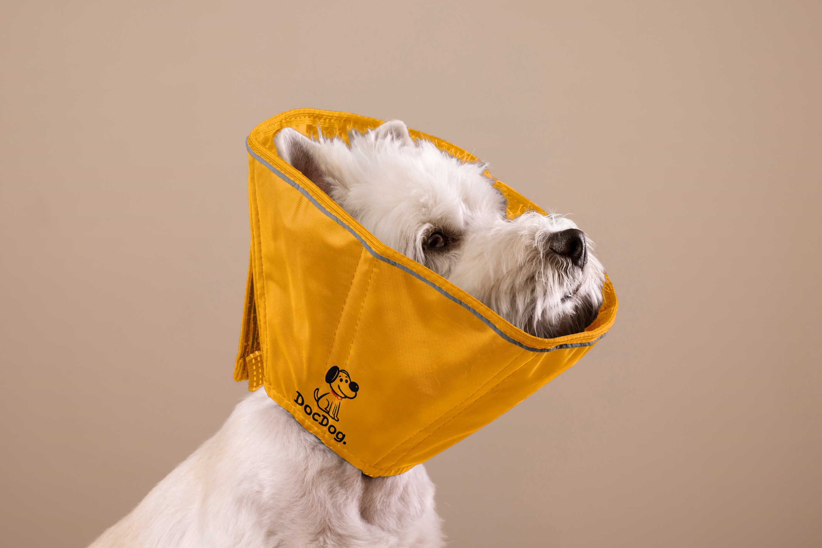 Docdog. – ветеринарная клиника для собак — Изображение №11 — Брендинг на Dprofile