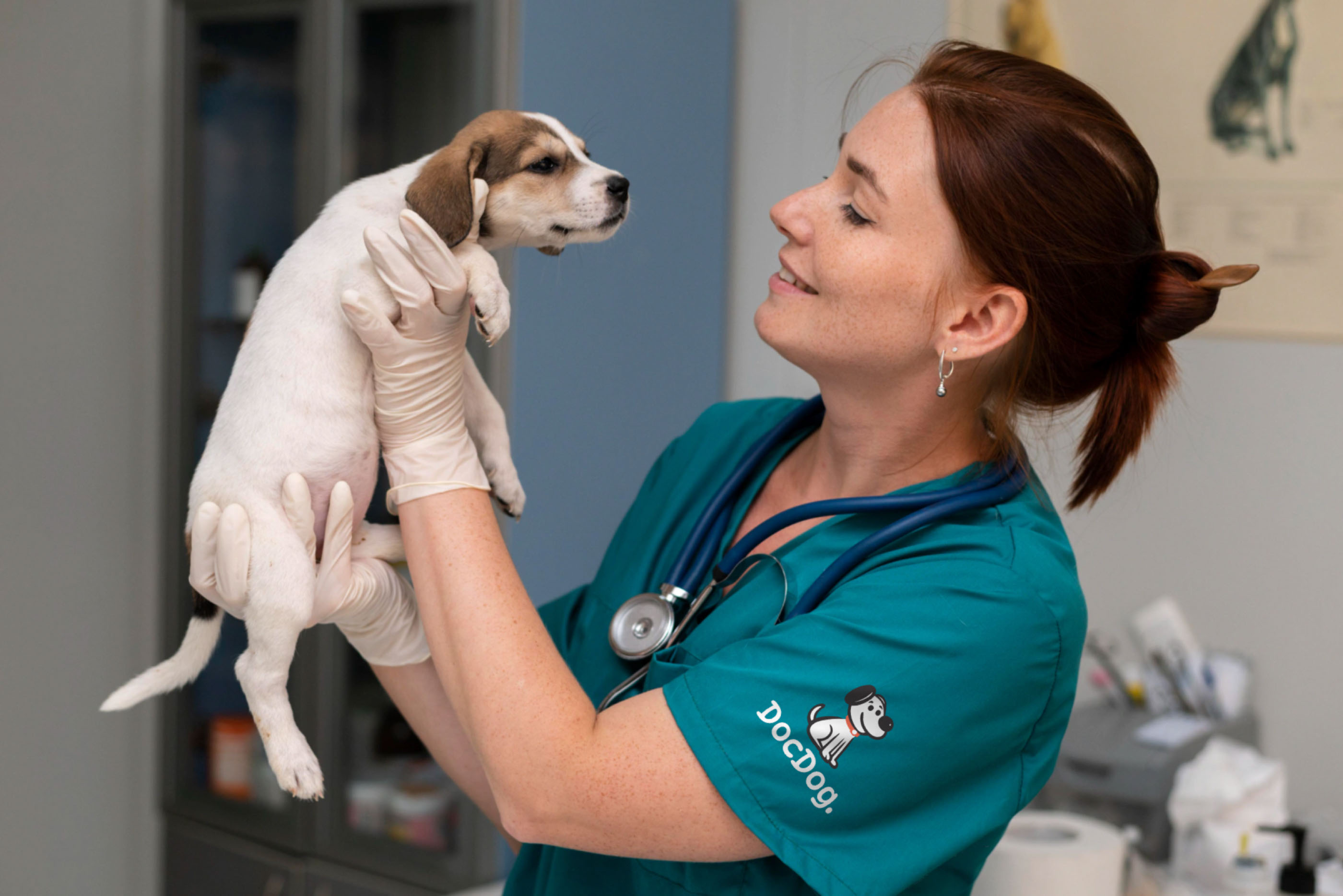 Docdog. – ветеринарная клиника для собак — Изображение №4 — Брендинг на Dprofile