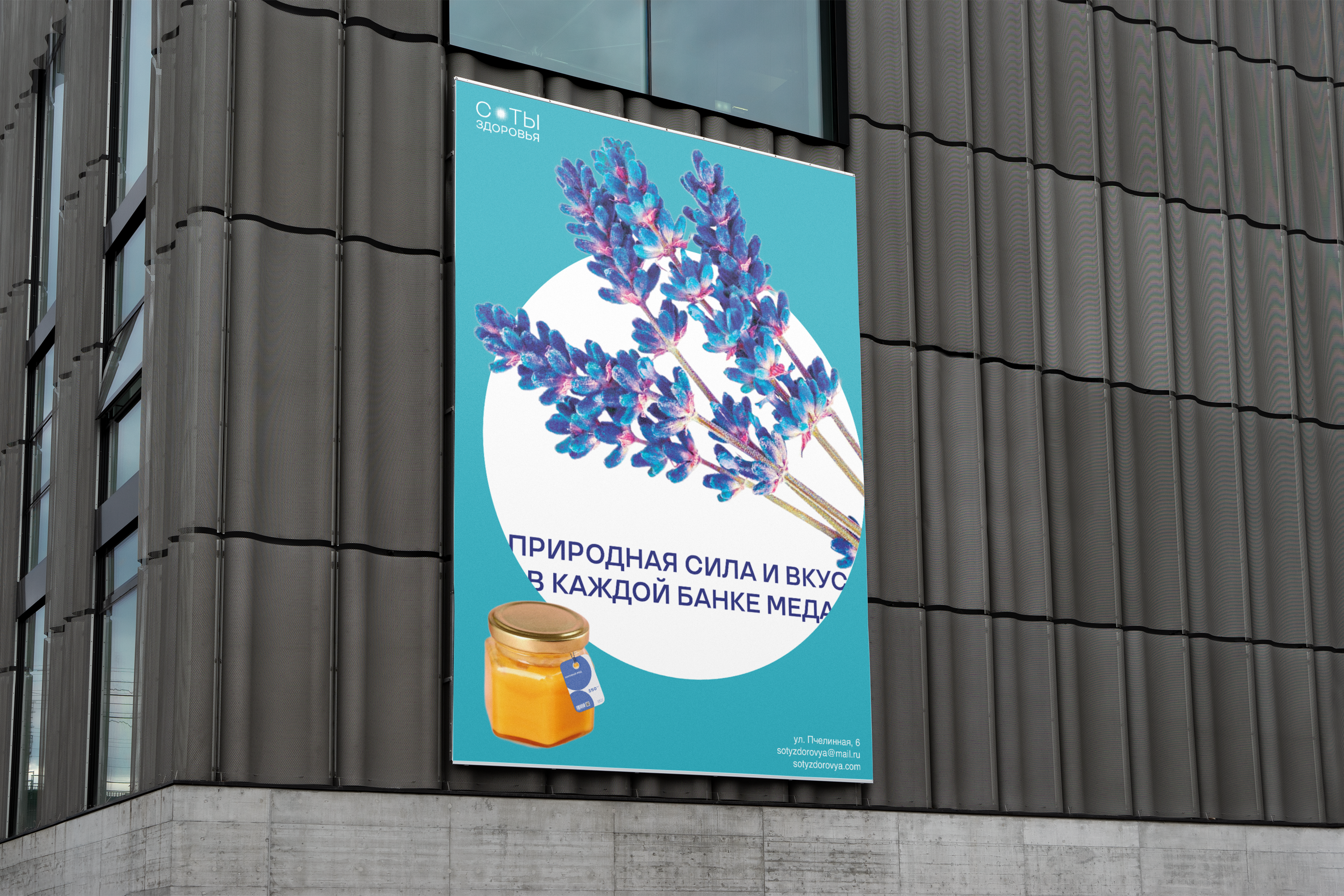 Пчеловодческая ферма «Здоровые соты» — Изображение №6 — Брендинг, Графика на Dprofile