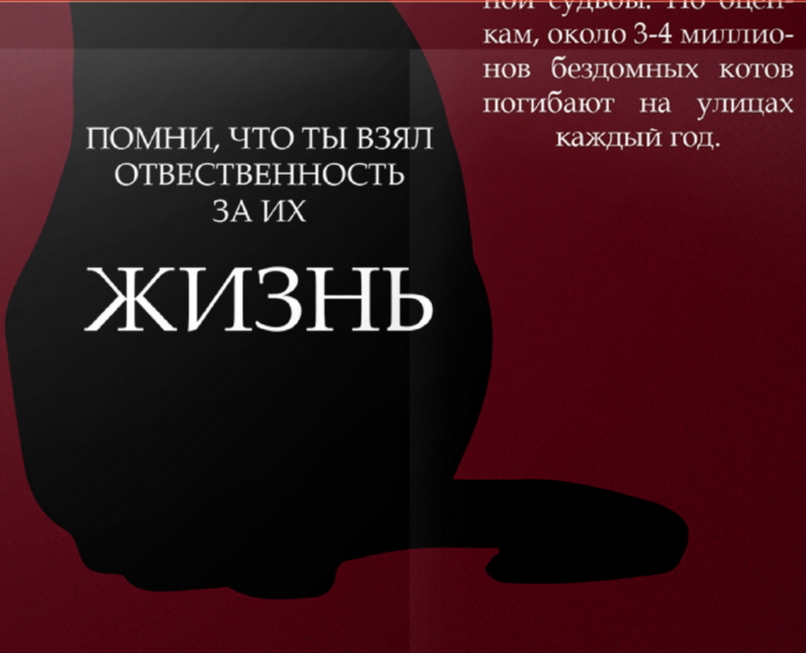 Социальные плакаты на Dprofile