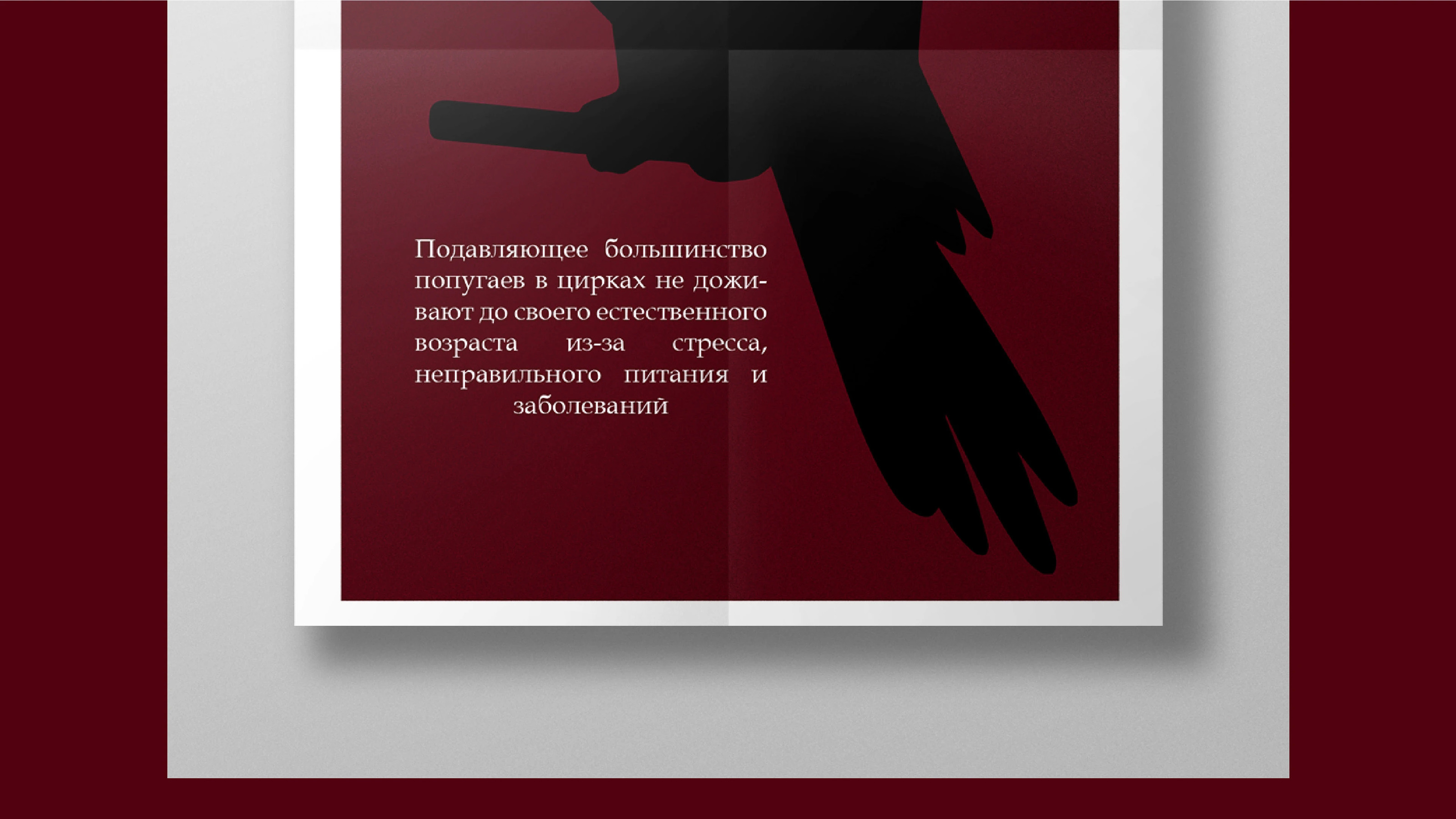 Социальные плакаты — Изображение №11 — Иллюстрация на Dprofile