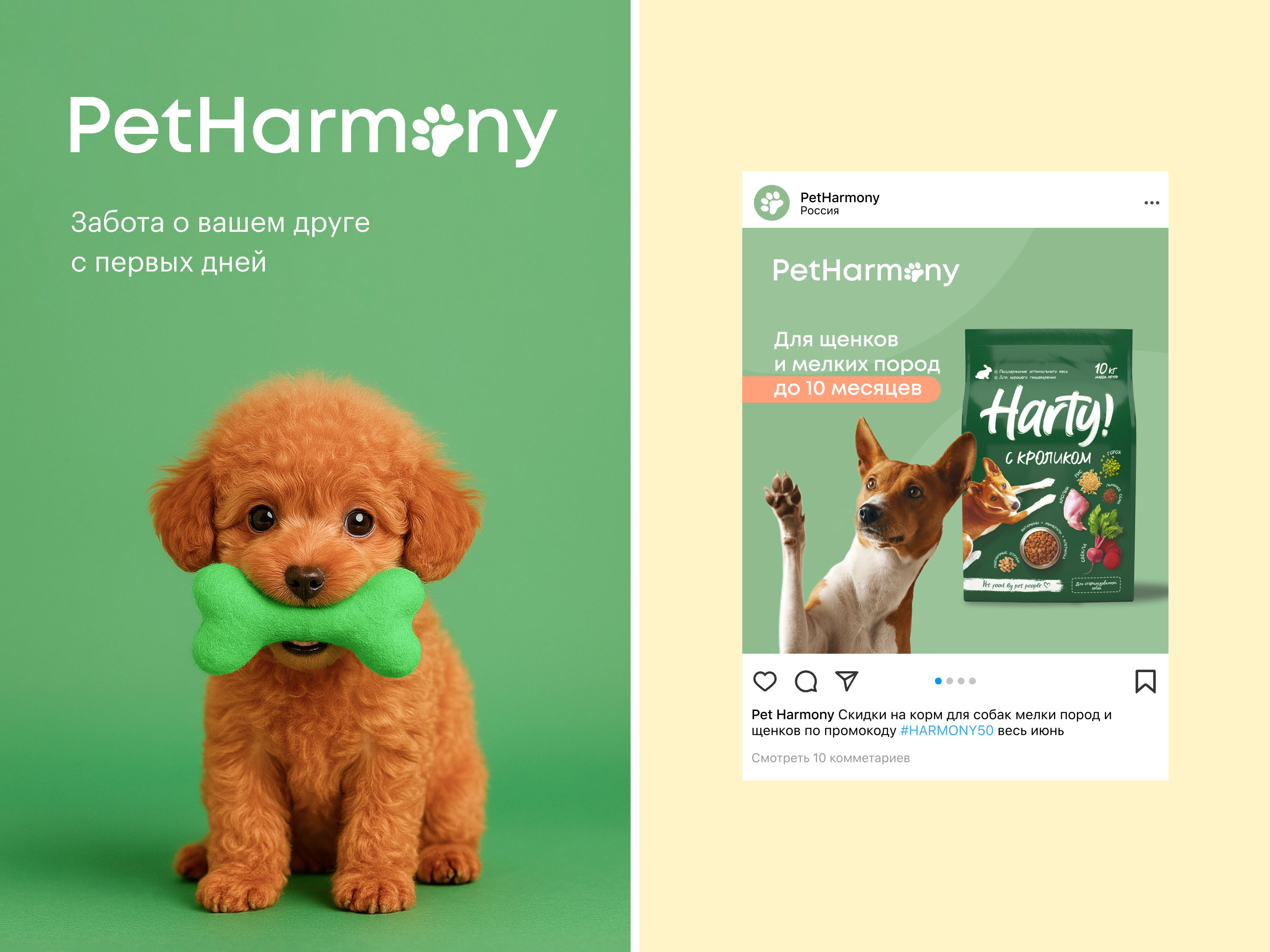 PetHarmony —  дизайн платформы для заботы о питомцах — Изображение №11 — Интерфейсы, Маркетинг на Dprofile