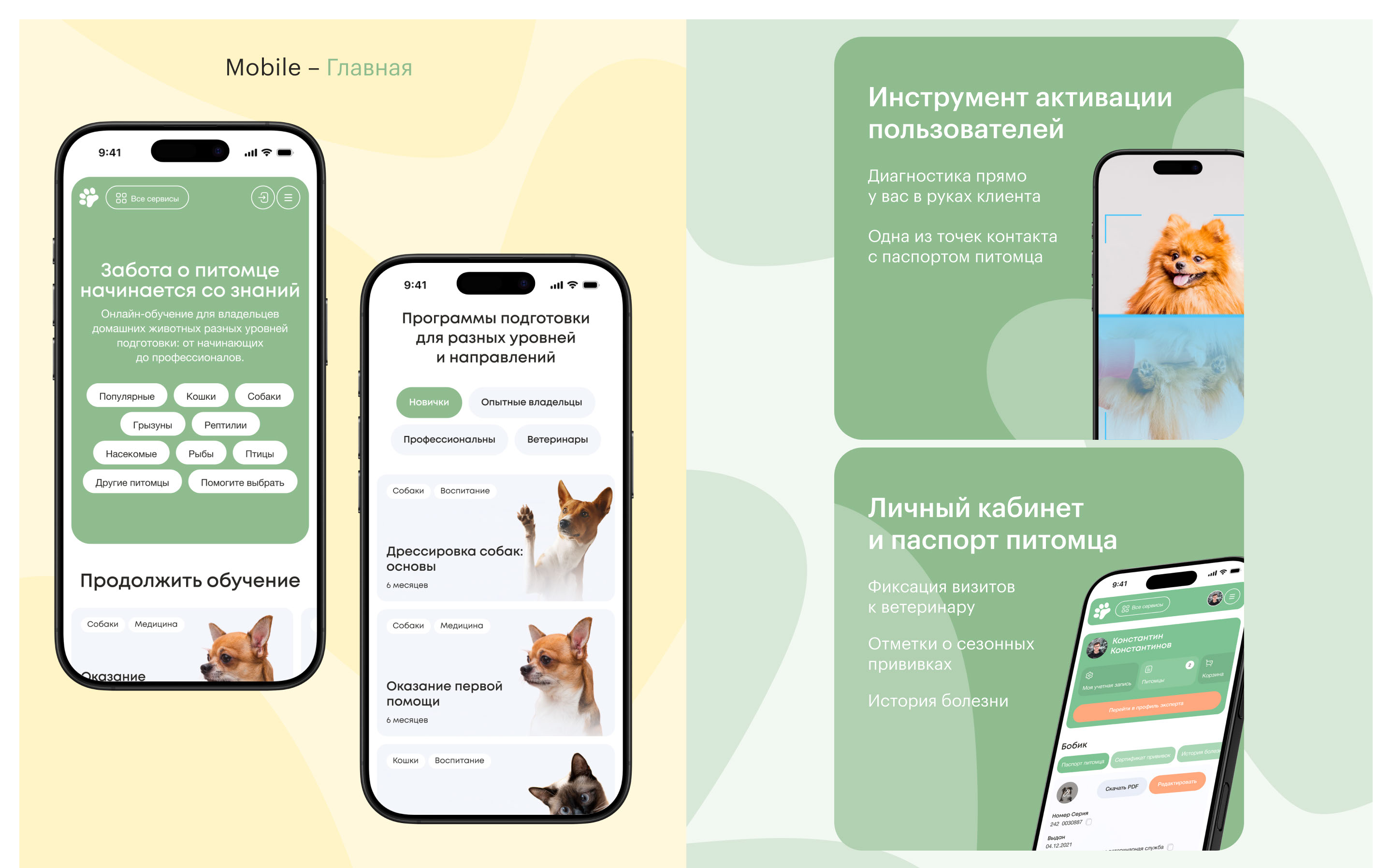 PetHarmony —  дизайн платформы для заботы о питомцах — Изображение №7 — Интерфейсы, Маркетинг на Dprofile
