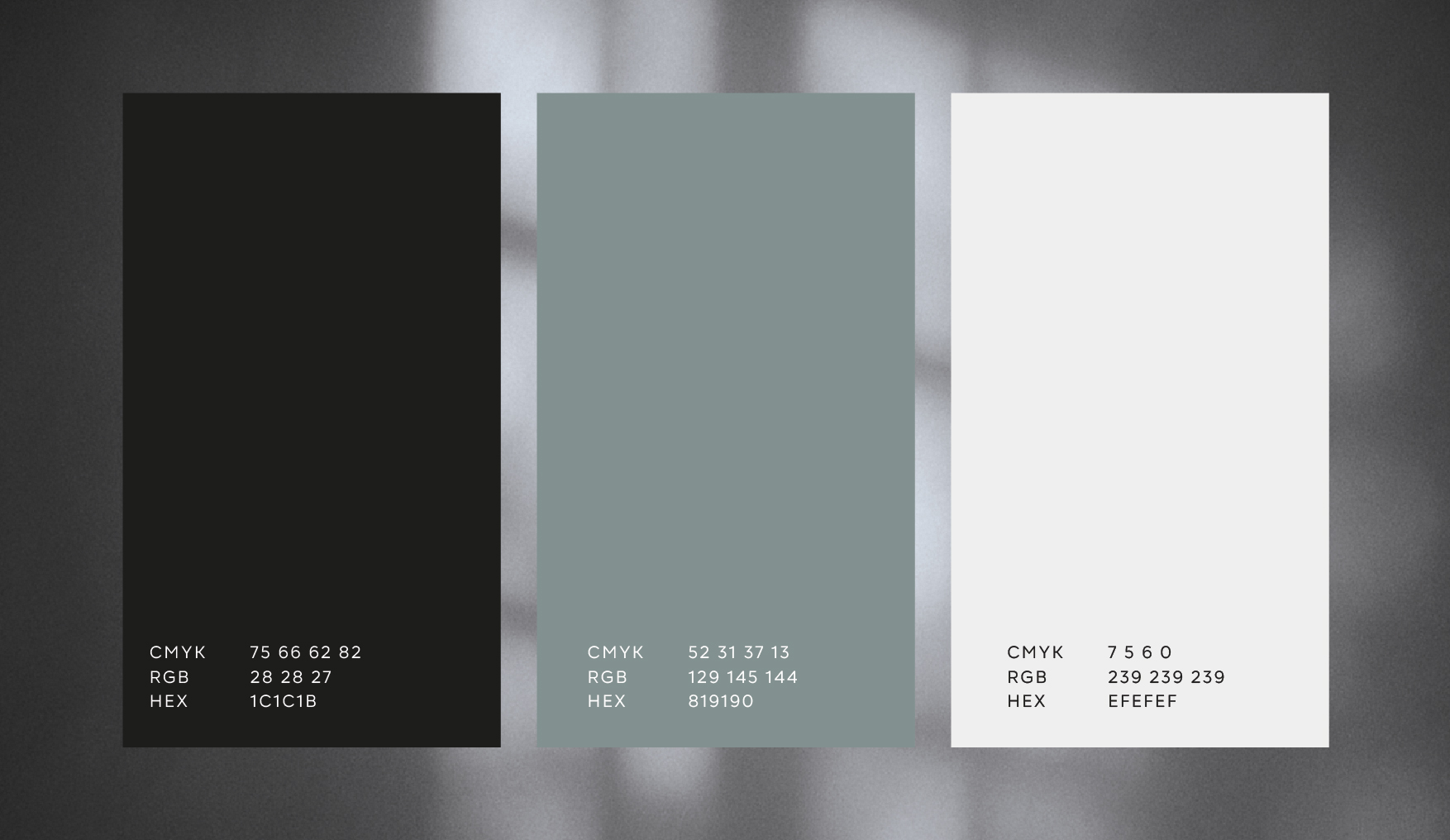 Айдентика для центра экспертизы и оценки|Луч — Изображение №2 — Брендинг на Dprofile