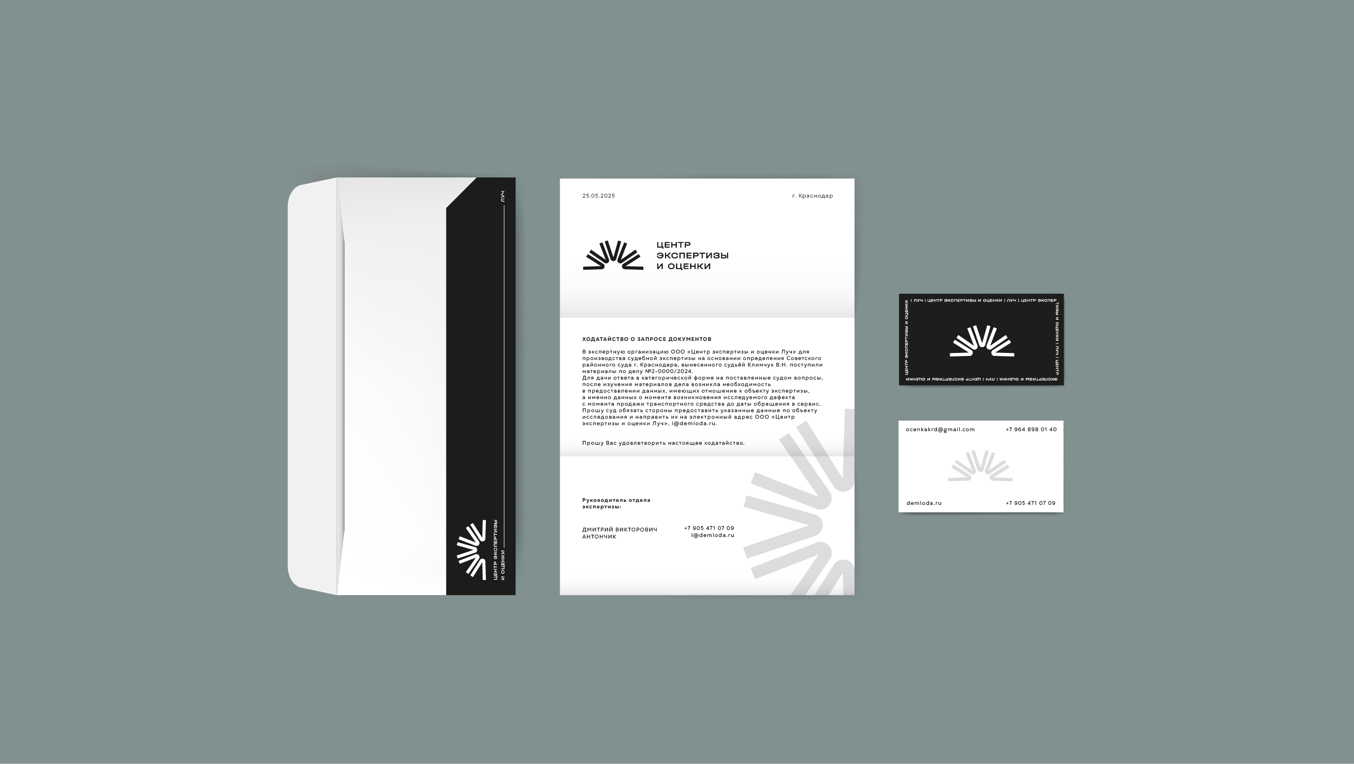 Айдентика для центра экспертизы и оценки|Луч — Изображение №3 — Брендинг на Dprofile
