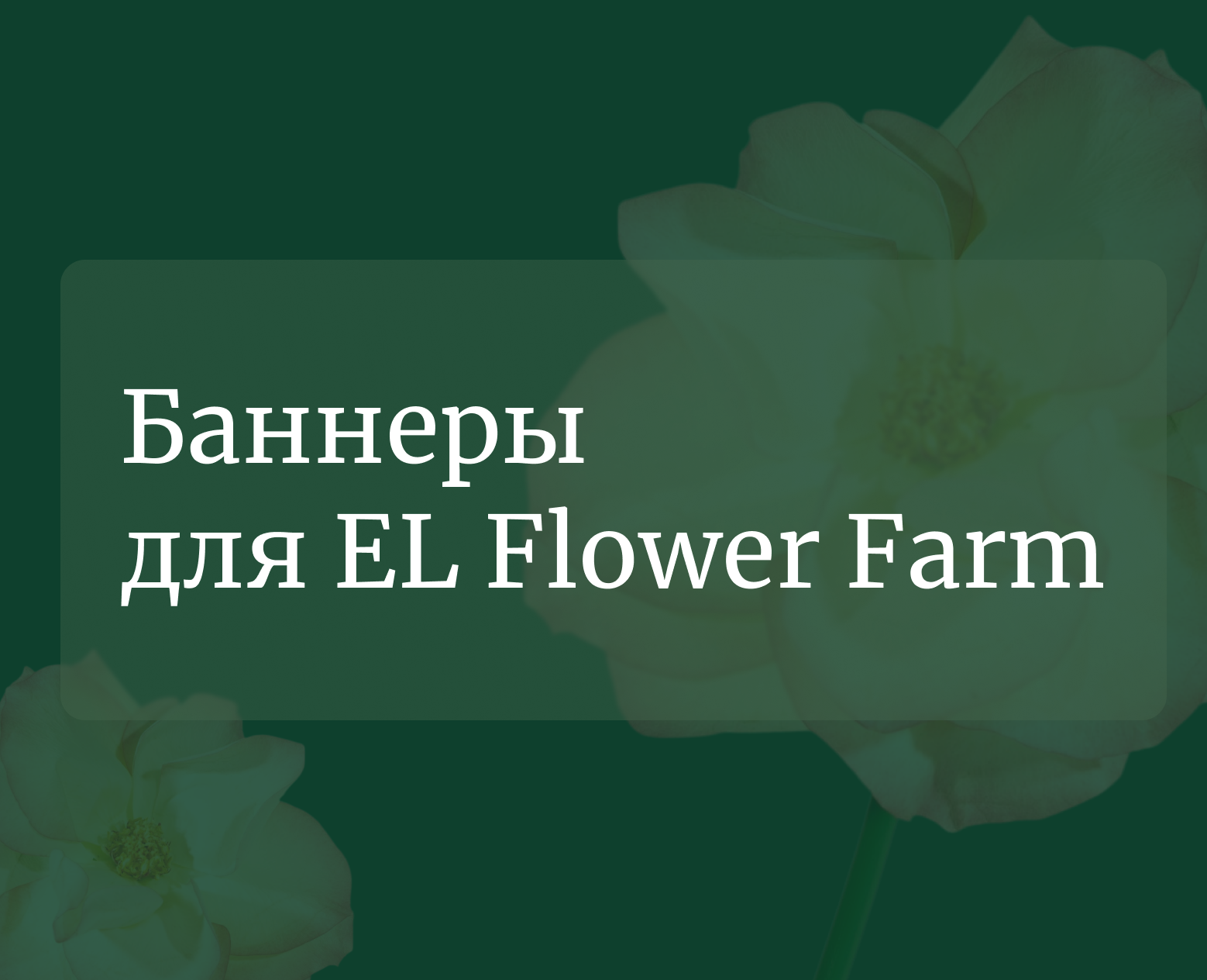 Баннеры для цветочной фермы El Flower Farm на Dprofile