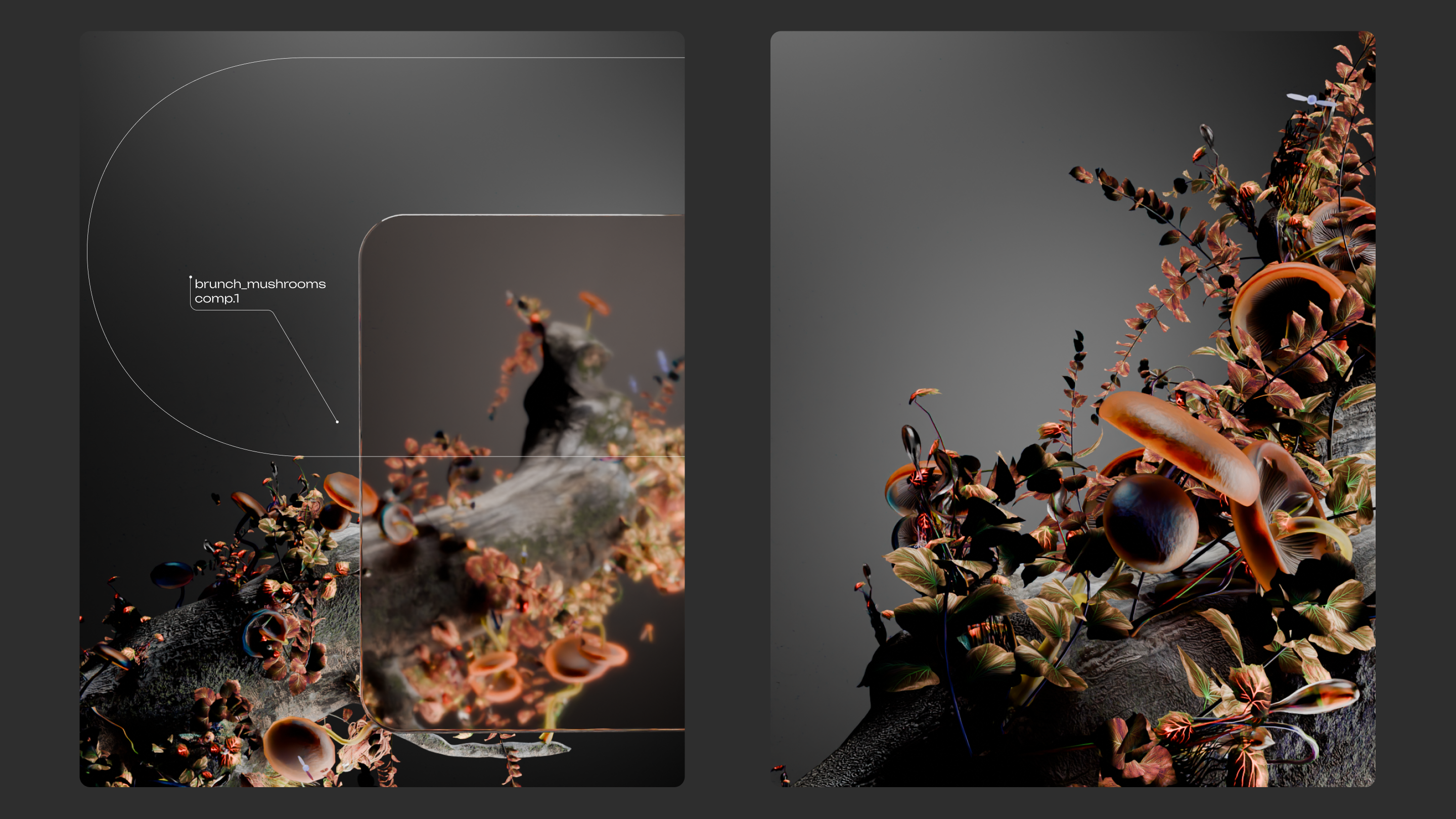 Mushrooms | 3d motion design — Изображение №1 — 3D, Анимация на Dprofile