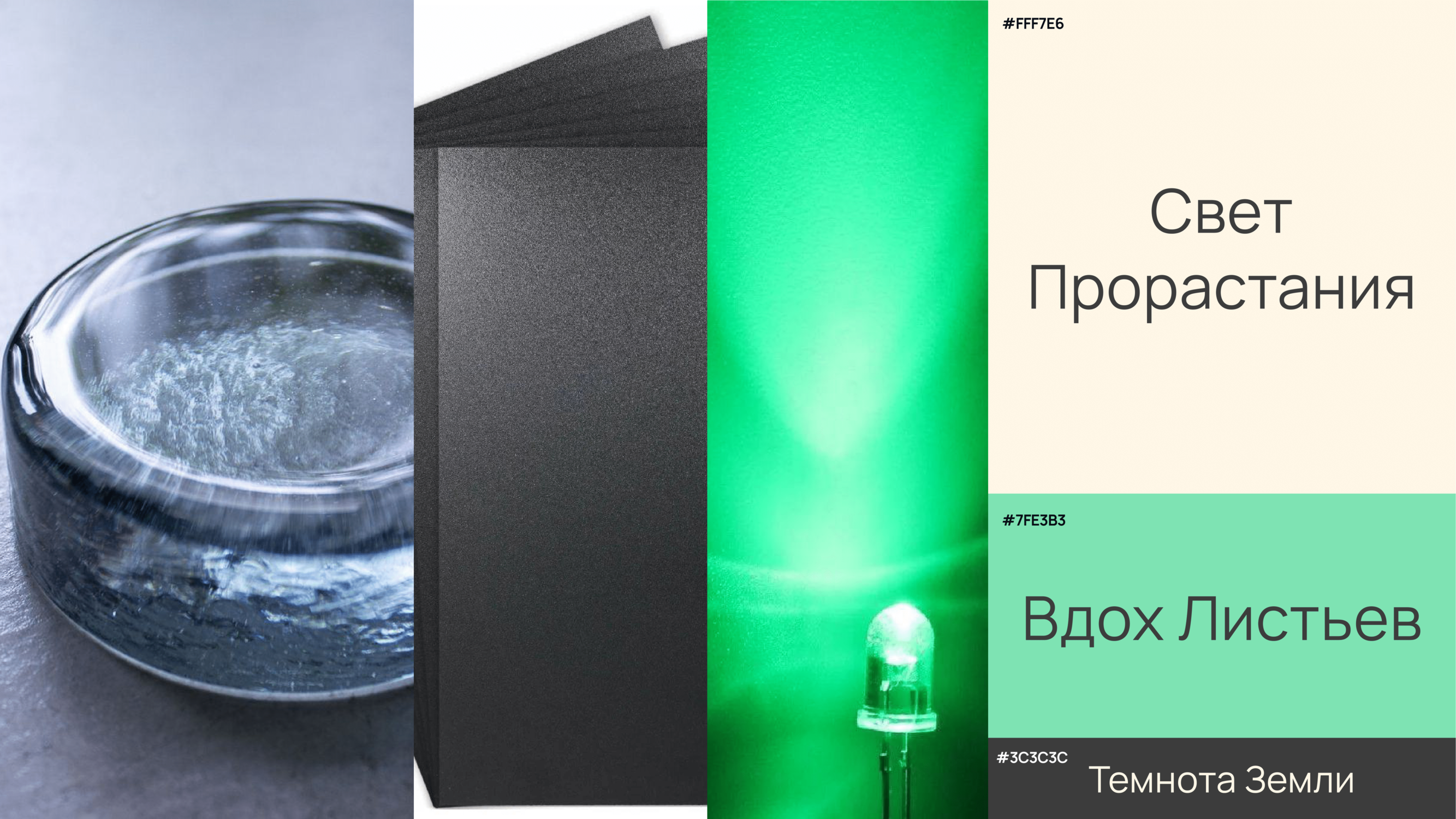 Умный цветочный горшок Flaura — Изображение №13 — Брендинг, 3D на Dprofile