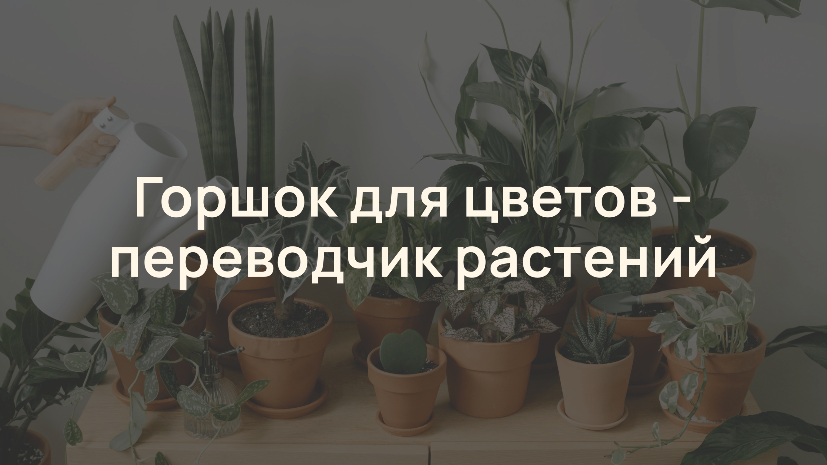 Умный цветочный горшок Flaura — Изображение №3 — Брендинг, 3D на Dprofile