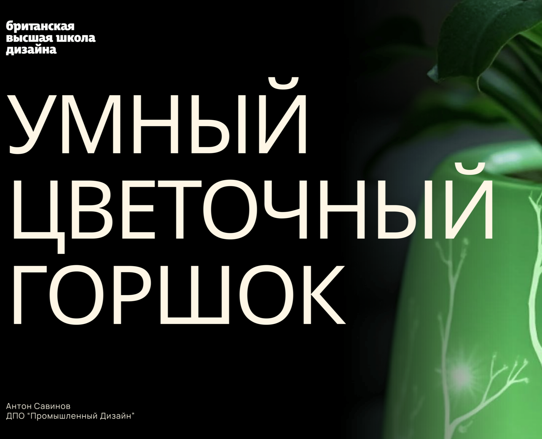 Умный цветочный горшок Flaura на Dprofile