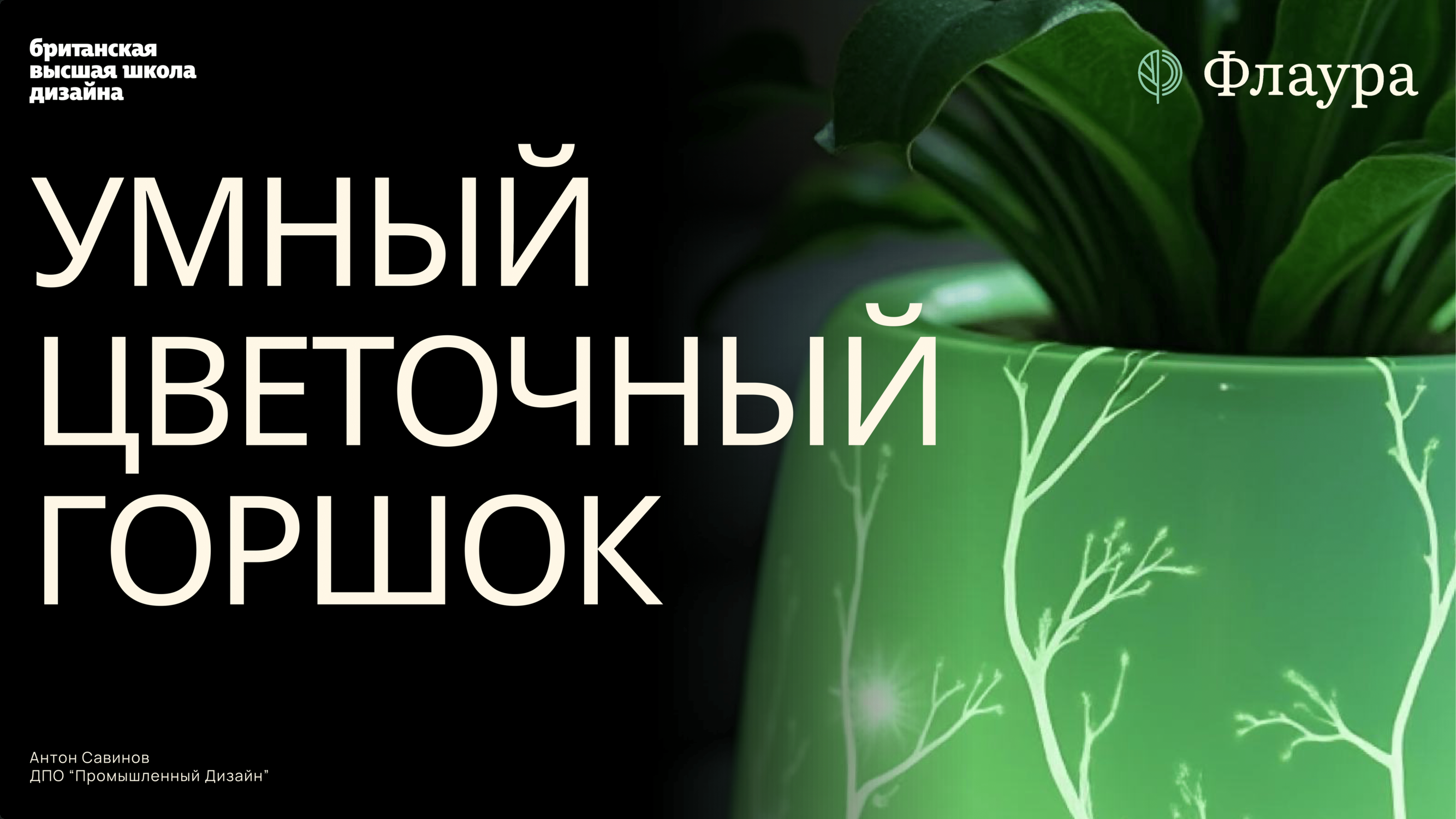 Умный цветочный горшок Flaura — Изображение №1 — Брендинг, 3D на Dprofile