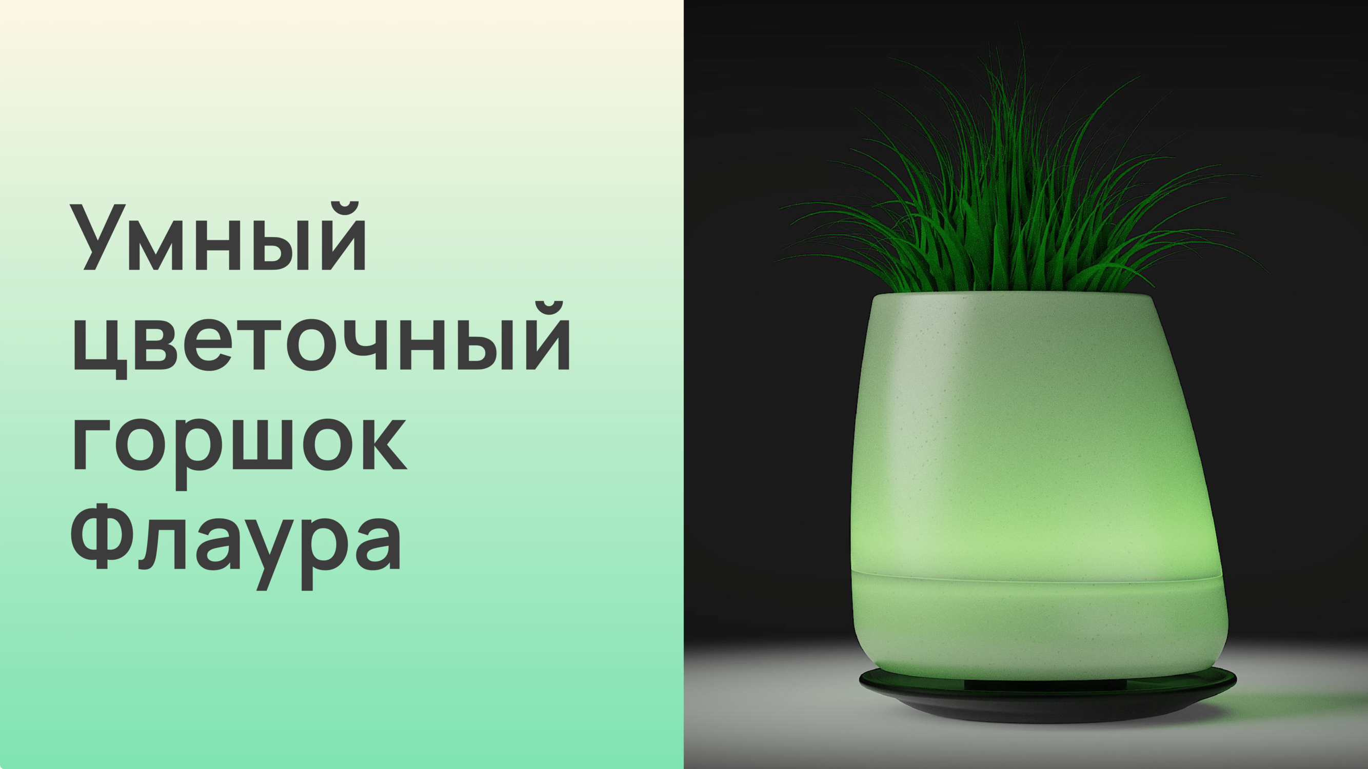 Умный цветочный горшок Flaura — Изображение №12 — Брендинг, 3D на Dprofile