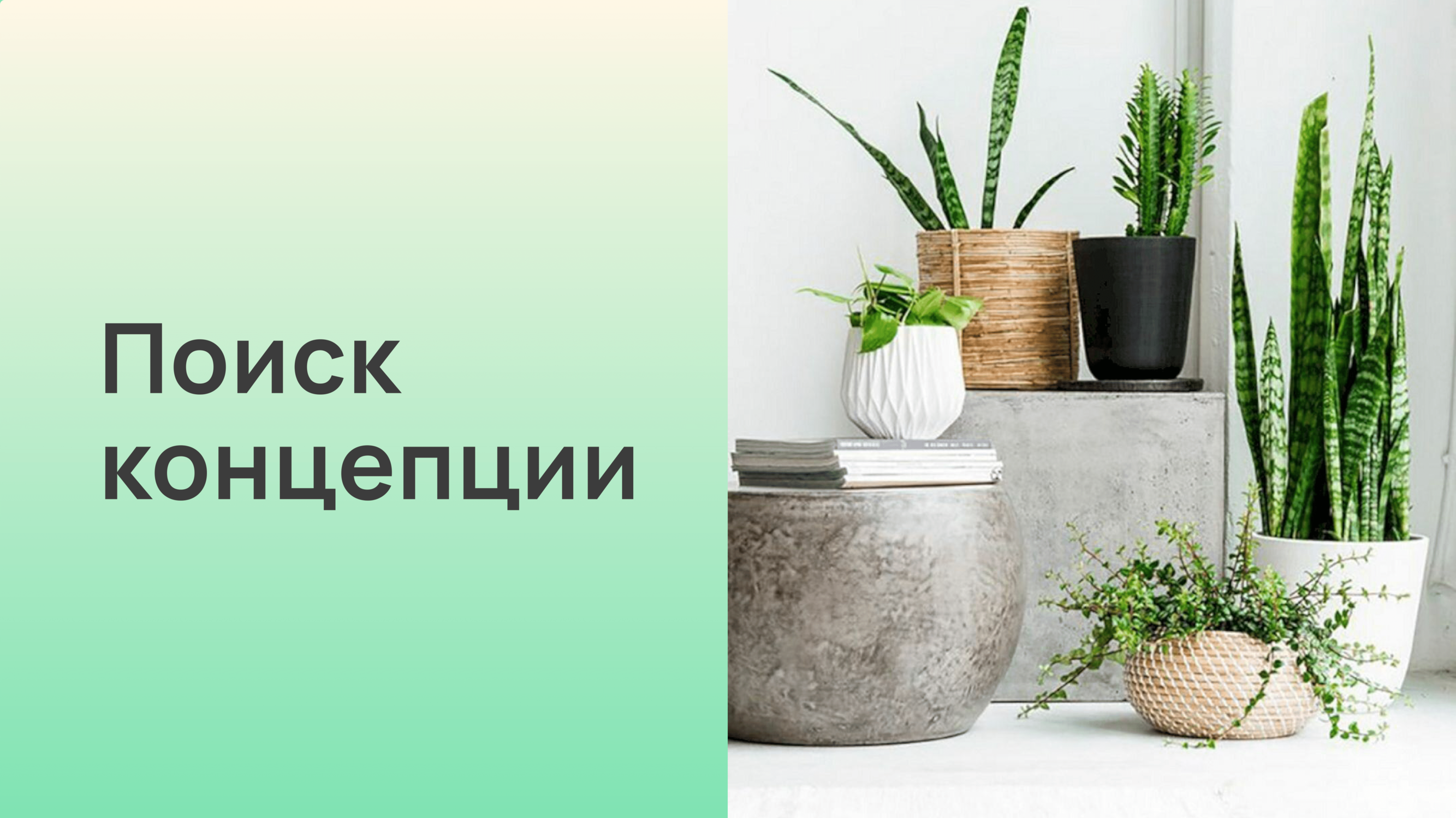 Умный цветочный горшок Flaura — Изображение №6 — Брендинг, 3D на Dprofile