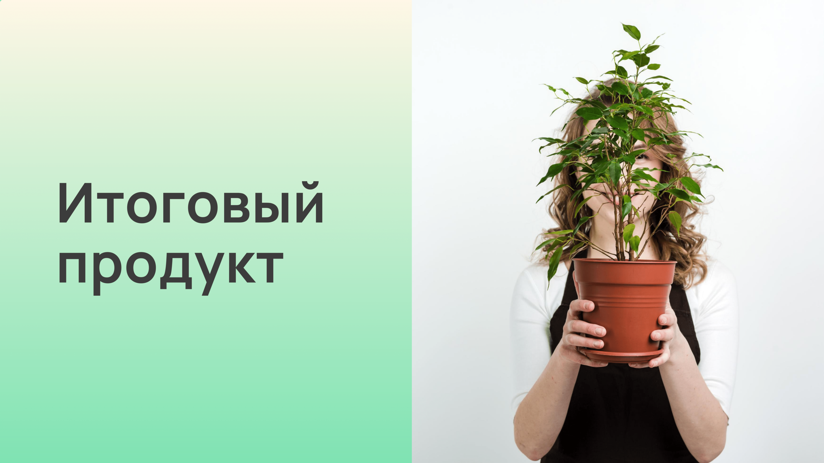 Умный цветочный горшок Flaura — Изображение №10 — Брендинг, 3D на Dprofile